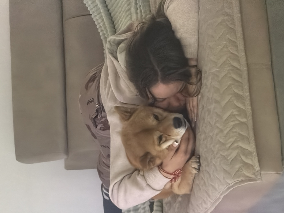 In an interior scene located in Priseltsi, Bulgaria, a human individual and a domestic canine are observed in a resting position on a bed. The individual, identified as female, possesses dark hair and is lying on her right side, with her head oriented towards the left of the frame, partially obscured by her hair. She is wearing a light-colored, long-sleeved garment, possibly a sweatshirt or sweater. Her left arm is positioned around the neck and upper torso of the dog. The canine is a medium-sized, short-haired breed, predominantly tan or ginger in color, resembling a Shiba Inu, with a lighter-colored snout. Its eyes appear partially closed. The dog is resting its head against the individual's upper chest or shoulder area.
The bed features a light beige or tan quilted mattress cover with a distinct chevron or wave pattern. A plain beige headboard is visible behind the subjects. To the right, a light blue-green textured blanket is present. A dark grey pillow with a visible text "bear" is positioned against the headboard, partially obscured. The background consists of a plain, light-colored wall. The overall environment suggests an indoor, domestic setting.