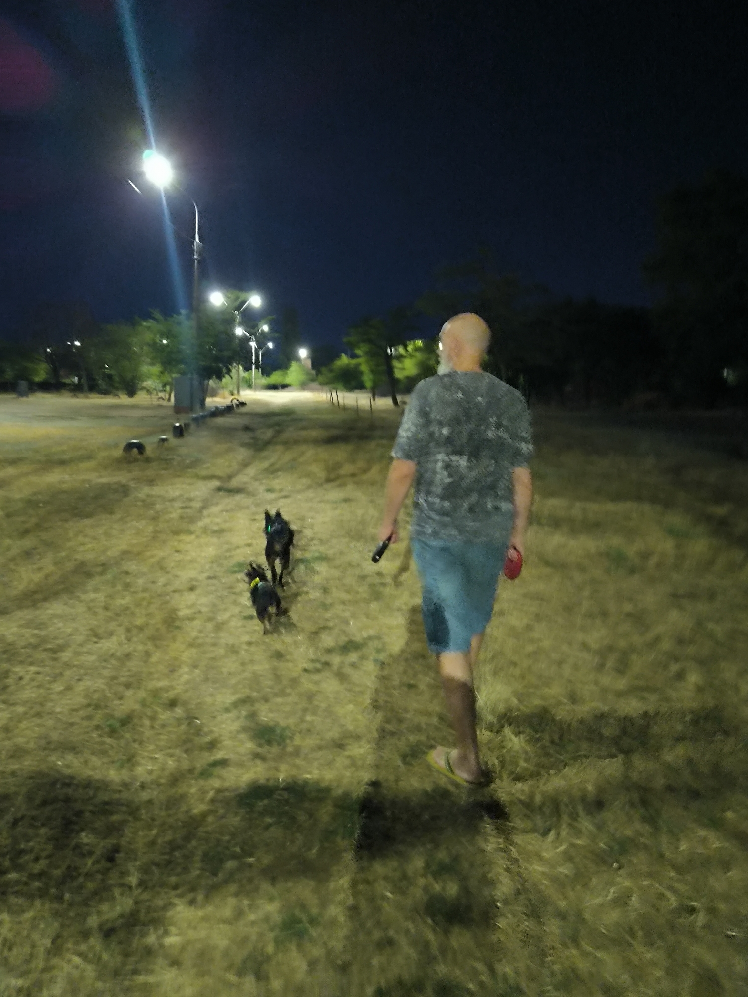 In the city of Mykolaiv, Ukraine, an adult male with a shaved head and a grey patterned t-shirt is walking two dogs on a grassy area at night. The man is wearing blue shorts and yellow flip-flops and is holding a black flashlight in his right hand and a red leash in his left hand. The dogs appear to be medium-sized, one black and one black and tan. The area is illuminated by several streetlights, casting long shadows across the dry grass. The background shows trees and more streetlights in the distance. The overall scene suggests a person taking their dogs for a walk in a park or open space in the city after dark.