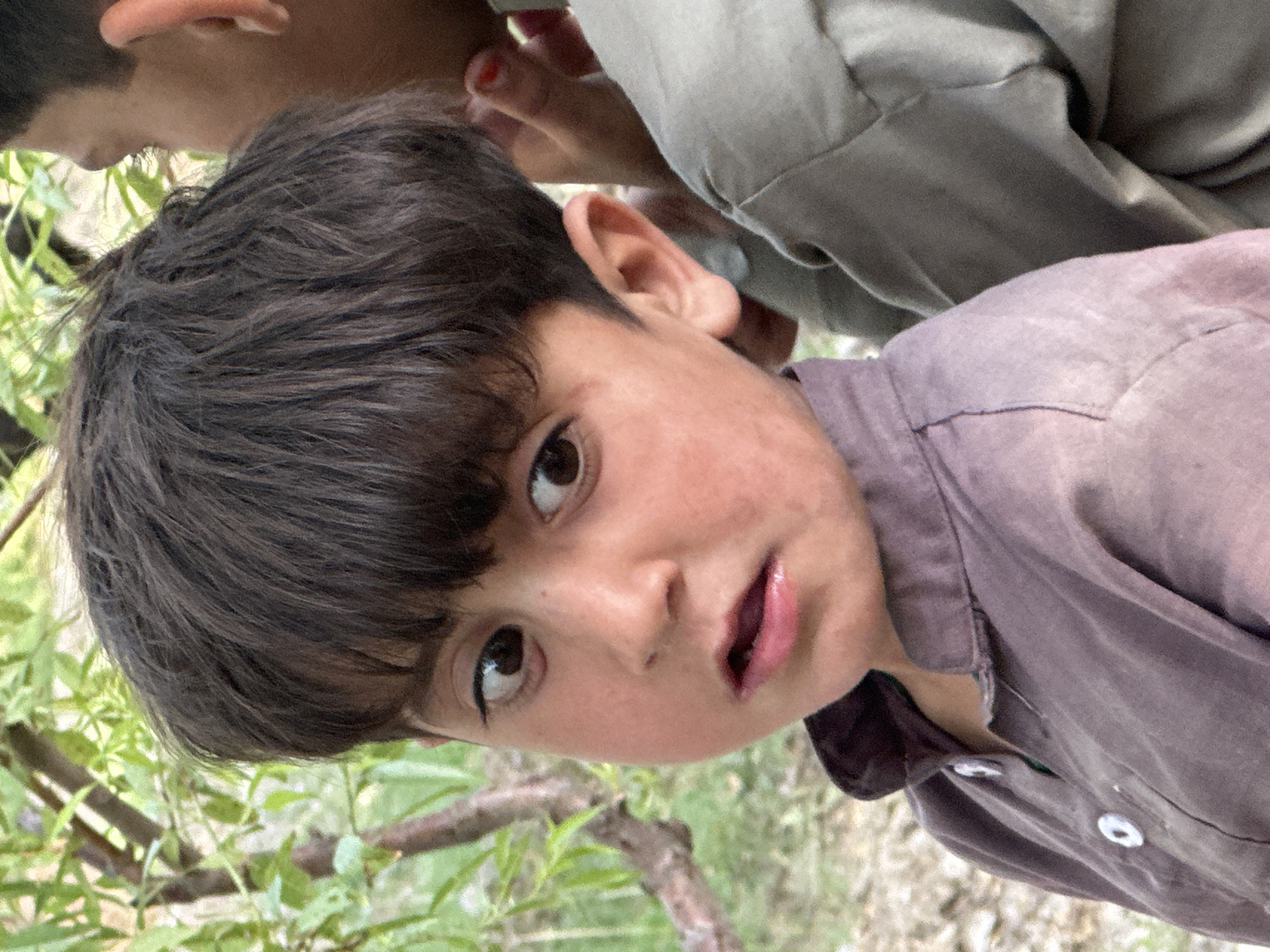 A young boy with dark hair and brown eyes is looking up at the camera. He is wearing a brown shirt with a button visible. Another person is partially visible in the background, wearing a light-colored shirt. Green foliage is visible in the bottom left of the frame. The location is Unknown, Unknown.