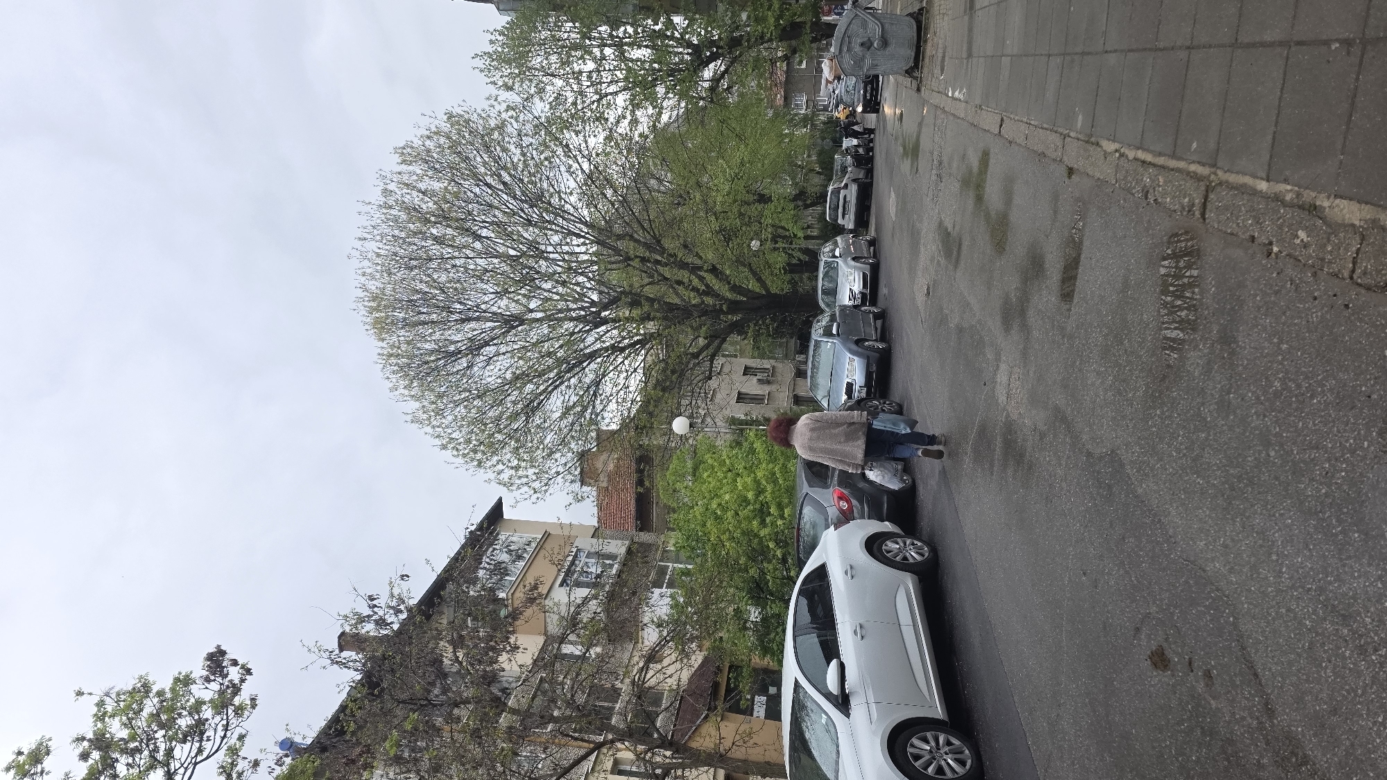 The image captures a street scene in Blagoevgrad, Bulgaria, under overcast conditions. A woman with reddish-brown hair, wearing a beige coat and blue jeans, walks along the street between parked cars. The street is wet, reflecting the overcast sky. A white car is parked on the right. Rows of other parked cars line the street, extending into the distance. Trees are prominent on the left side, extending to the middle of the image. Buildings are visible behind the trees, including residential structures. Street furniture and a large trash container are seen at the far end of the row of cars.
