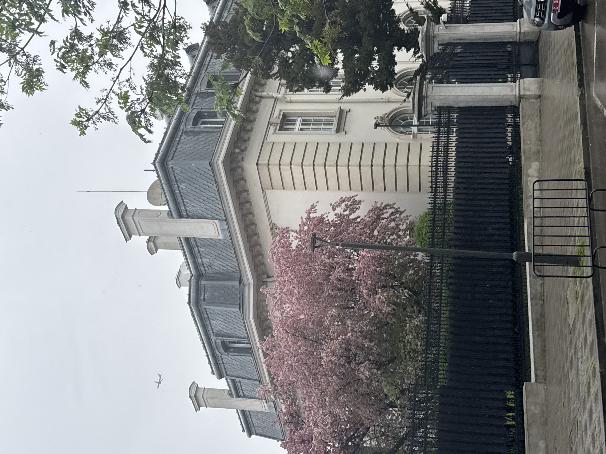 This image depicts a tranquil street scene in Sofia, Bulgaria, on an overcast day. The focal point is a grand, multi-story building displaying classic European architecture. Its light-colored (possibly cream or white) facade features vertical fluted details and a mix of rectangular and arched windows, some with white frames. The building is topped with a steep, dark gray mansard roof made of slate tiles, characteristic of historic Parisian or similar European styles. Several prominent chimneys, a small satellite dish, and a thin antenna pierce the skyline from the rooftop.
In the mid-ground, a large, vibrant pink flowering tree, likely a cherry blossom, is in full bloom, adding a striking burst of color against the muted tones of the building and sky. This tree is positioned in front of the building, partially obscuring the lower facade. A black wrought-iron fence separates the building's property from the public area.
To the right of the fence and in the lower right corner, a wet, paved sidewalk or street surface is visible, suggesting recent rain. A black street lamp post stands upright in this area. A silver car is partially visible on the far right, and its Bulgarian license plate clearly shows the letters "C 00", indicating Sofia as its registration city.
The sky is a uniform, light gray, typical of overcast weather. Green leafy trees frame the top left and right edges of the image. High in the sky on the far left, a small airplane is visible, a subtle detail against the expansive, cloudy backdrop. The scene conveys a calm and serene atmosphere, devoid of human activity, highlighting the architectural beauty and natural elements of the city under a soft, diffused light.