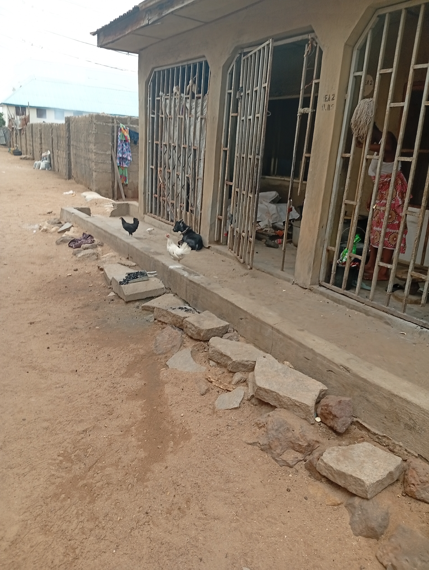 The image shows a dirt road in Zango-ndaji, Nigeria, next to a low building with open and gated doorways. A black chicken, a white chicken, and a black dog are standing or lying on the raised concrete slab along the building's front. A woman in a red and white patterned dress is visible behind a metal gate in one of the doorways. Debris is scattered along the road and slab. Further down the road, a partially constructed wall and another building are visible.