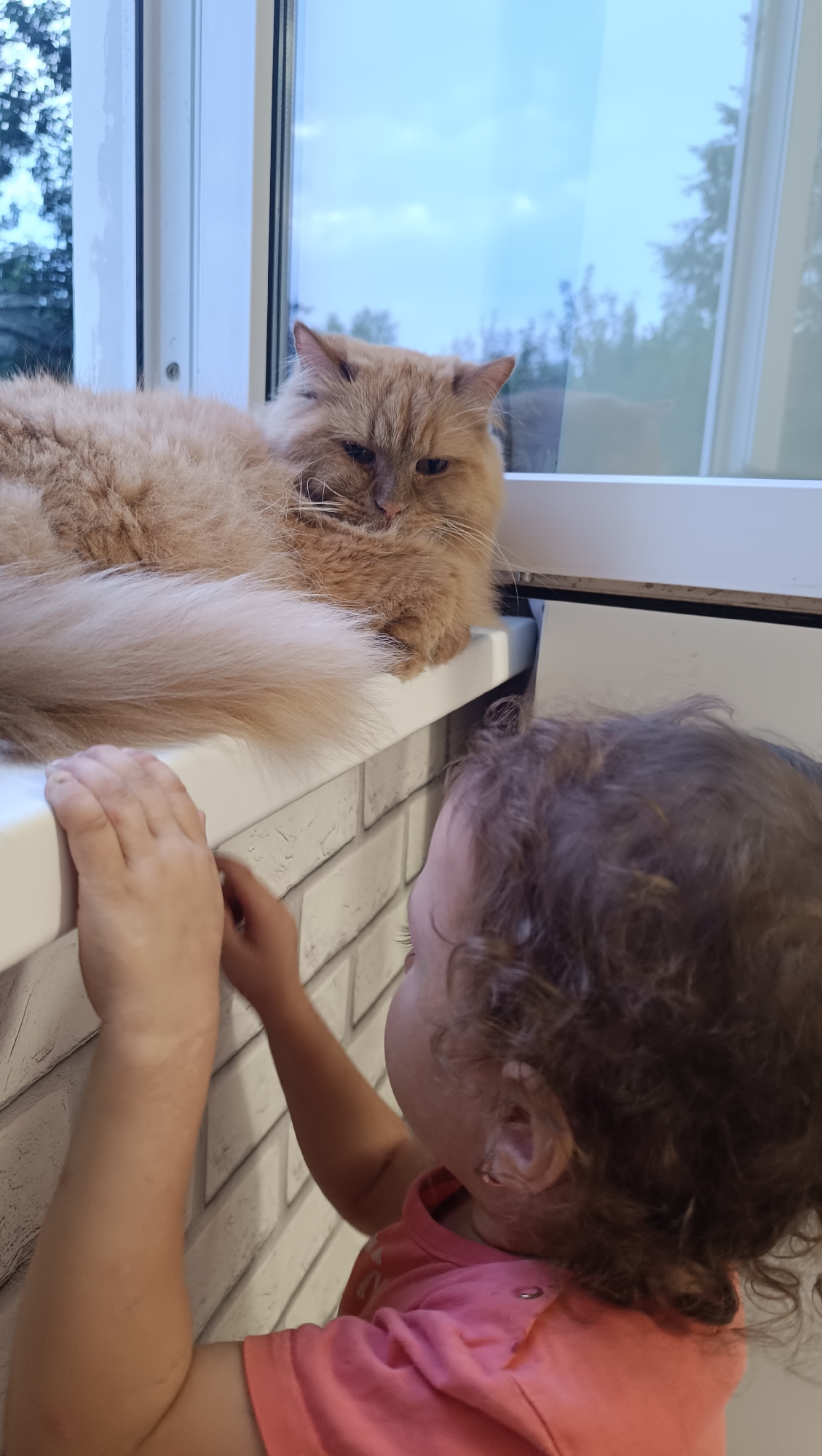 A fluffy, ginger-colored cat with blue eyes rests on a white windowsill. The cat is facing the viewer with a slightly grumpy expression. To the right of the cat, a young child with curly brown hair is leaning on the windowsill, with their back to the camera. The child is wearing a pink t-shirt and is looking at the cat. The background shows a window with a view of trees against a cloudy sky. The scene appears to be indoors, likely in a residential setting in Chaikovsky, Russia, given the metadata.