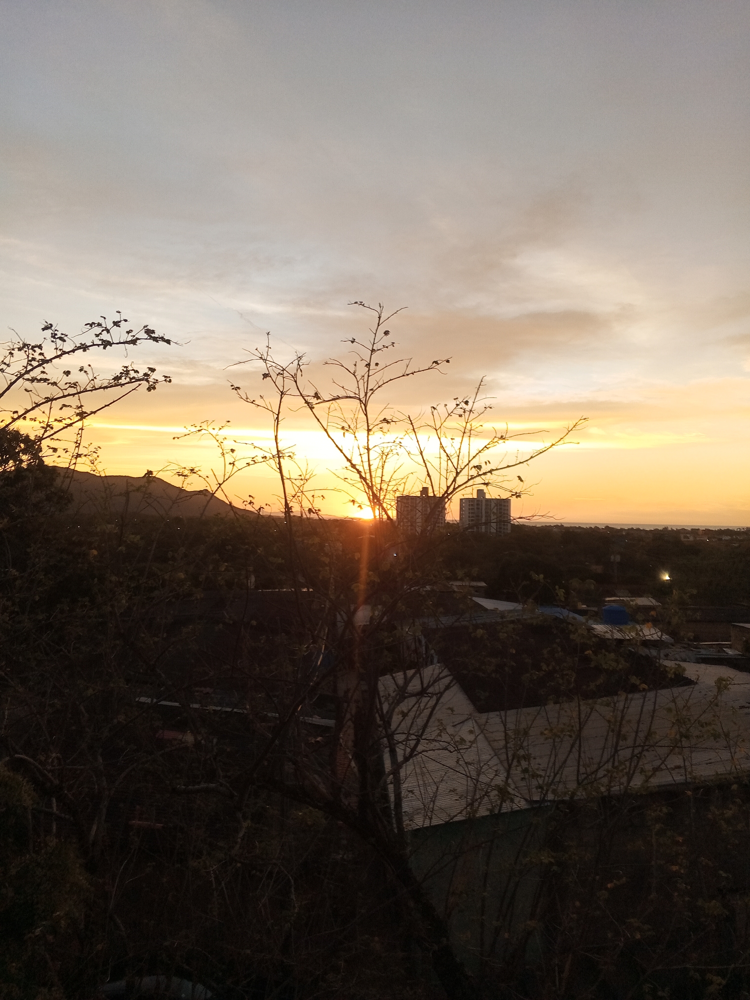 The image shows a sunset in Juan Griego, Venezuela. A bare tree stands in the foreground, silhouetted against the setting sun. Behind the tree is a cluster of buildings and vegetation. A tall building is visible in the distance. The sky is a blend of orange, yellow, and gray hues. The sun is partially obscured by a hill.