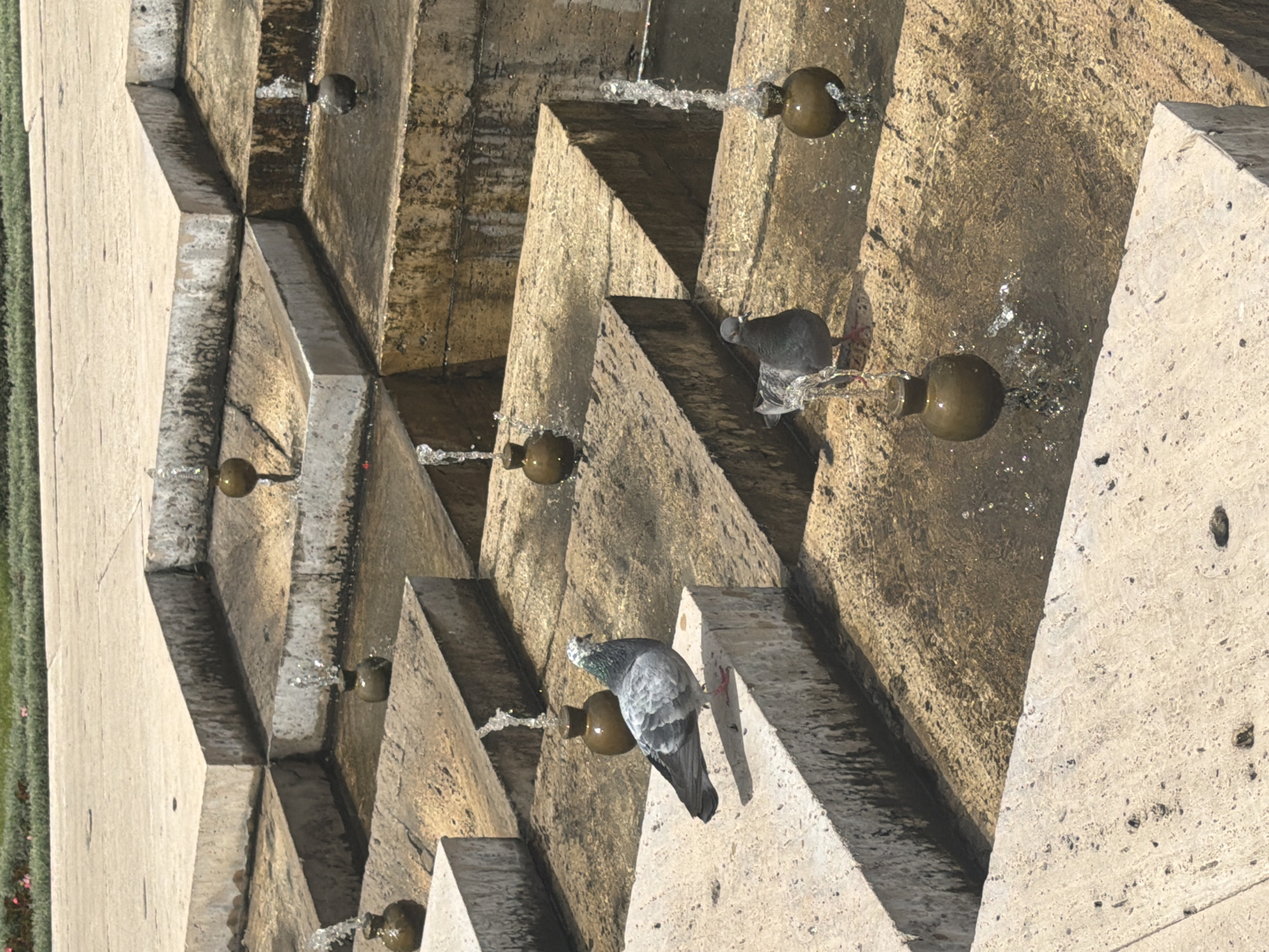The image shows a section of the Yerevan Cascade, a monumental stairway in Yerevan, Armenia. The cascade is constructed of light-colored stone steps arranged in a zig-zag pattern, with small bronze orbs mounted on the sides. Water flows from these orbs, creating a series of small fountains. Two pigeons are perched on the structure, one near the lower part of the image and the other higher up. The background to the left shows a strip of green vegetation.