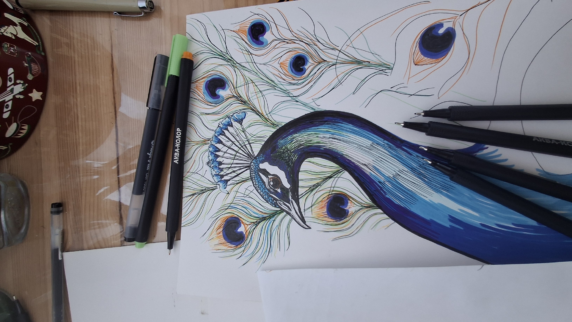 This media file captures an artistic arrangement on a wooden surface, likely a desk or table, in Kempelevo, Russia. The central subject is a vibrant drawing of a peacock, rendered on a white sheet of paper.
The peacock drawing depicts the bird's head and neck, characterized by rich blues, deep purples, and white highlights, with a delicate blue crest fanning out behind its head. The body transitions into a sweeping curve of layered blue and purple strokes, suggesting the flow of its plumage. Surrounding the peacock are numerous stylized tail feathers, outlined in black ink with iridescent 'eyes' colored in shades of blue, orange, and green, some filled with solid color and others sketched with fine lines.
Clustered around the artwork are various art supplies, indicating an ongoing or recently completed creative activity. On the right side of the drawing, several black fine-liner pens with slender metal tips are laid out. On the left side, two black markers with distinct green and orange caps are visible, alongside another black pen. A partial view of a decorative red metal tin with white illustrated patterns, resembling an airplane, drum, and stars, occupies the top-left corner. Below the markers, a small, clear glass jar or bottle is faintly visible. The wooden surface beneath has a light, warm tone with visible grain, and there's a slight sheen across it, possibly from a protective covering.
Visible text on some of the pens reads "AKBA-КОЛОР" (likely Akva-Kolor, a brand name). The lighting appears natural and bright, suggesting it is daytime.