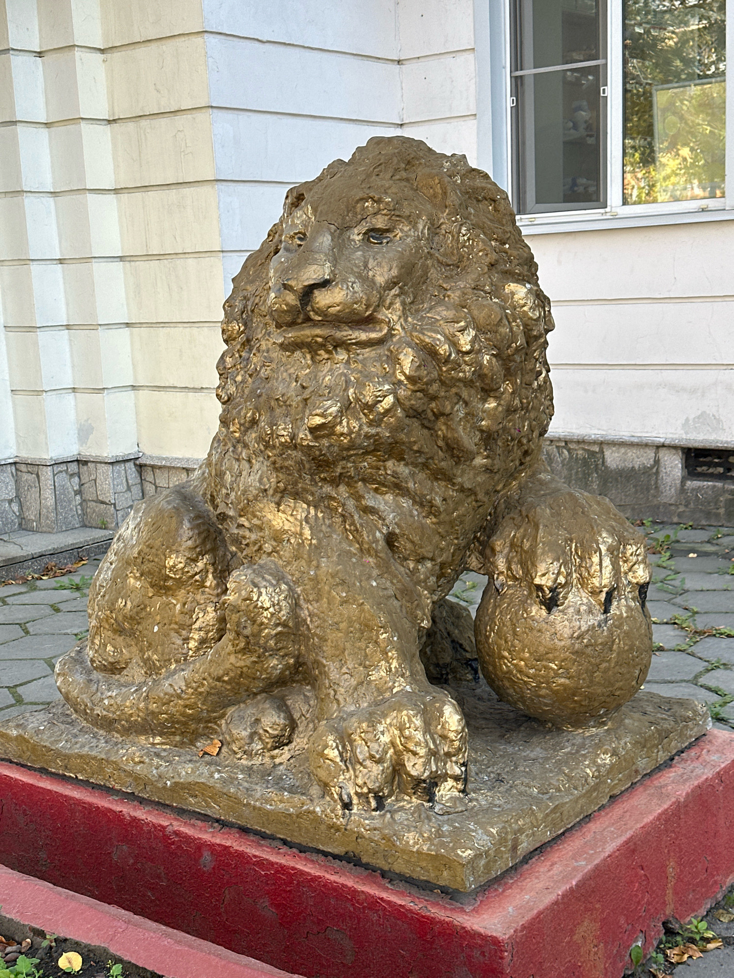 A golden statue of a lion is situated in front of a building with a cream-colored facade and a window. The lion statue is in a seated position, with its right paw resting on a sphere. The statue is on a red base. The ground in front of the statue is paved with interlocking gray stones. The environment appears to be outdoors, possibly in a public area of Biysk, Russia. No people are present in the image.