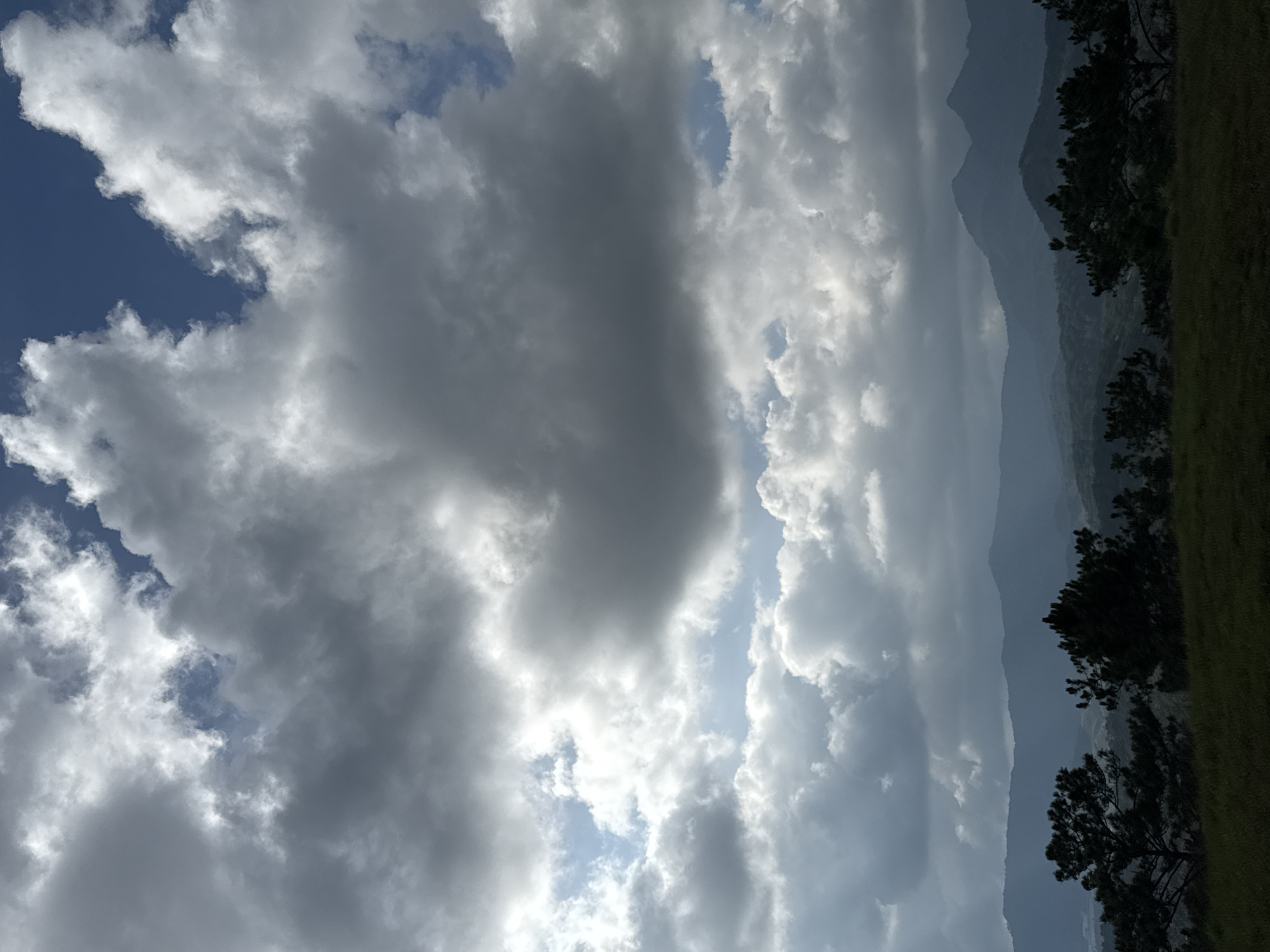 The image presents a panoramic landscape primarily characterized by a dramatic sky and undulating mountainous terrain. The upper two-thirds of the frame are dominated by a dense, layered cloud cover consisting of dark grey and white cumulus and stratocumulus clouds. Patches of clear, deep blue sky are visible in the upper right, center-left, and mid-left areas, where sunlight appears to break through, illuminating the edges of some clouds.
The lower third of the image depicts a natural groundscape. The immediate foreground features a dark green, grassy expanse. Along the transition from the foreground to the midground, a row of coniferous trees, distinctly pine trees, stands in dark silhouette, suggesting either heavy shadow or a backlit scenario. Beyond these trees, a series of mountains and hills extends into the distance, characterized by atmospheric perspective; the closer hills are darker blue-grey and more defined, while subsequent layers recede into lighter, hazier shades of blue-grey, indicating significant distance and atmospheric haze. The mountain profiles are generally rounded and undulating.
No individuals, animals, or man-made structures are discernible within the visible scene. The overall lighting suggests an overcast or partly cloudy day with intermittent sunlight. The presence of pine trees and the specific mountainous topography with atmospheric haze are consistent with the highland landscapes found in the Lam Vien Plateau, specifically around Da Lat, Vietnam.