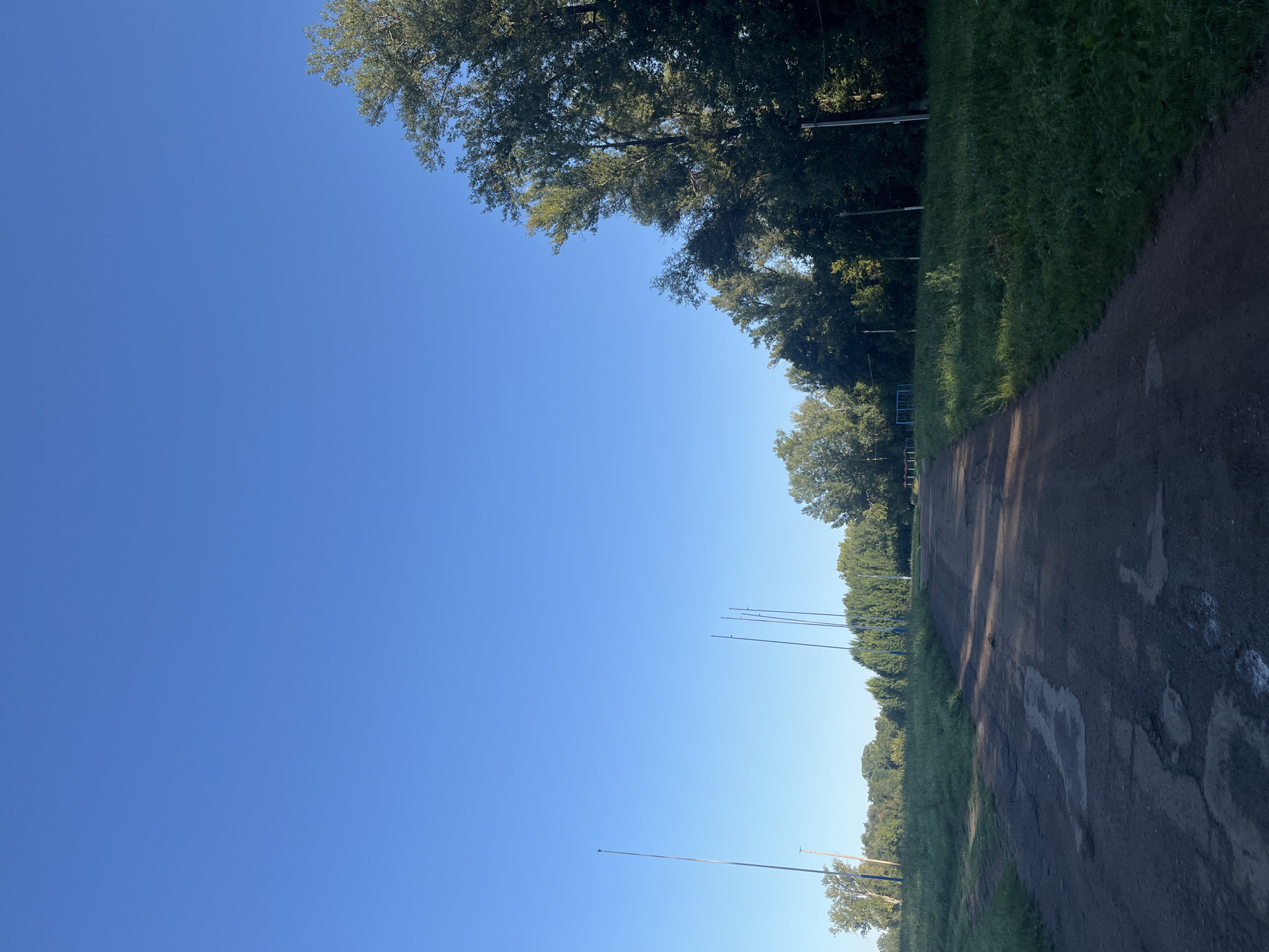 The image depicts a rural or park-like setting under a clear blue sky. A dirt road, showing signs of wear and tear with patches of exposed earth and puddles, leads into the distance. Lush green grass lines the sides of the road, and a dense line of trees forms a natural boundary on the right and in the background. Several tall, thin poles, possibly for lighting or some other utility, are visible in the middle ground. The overall impression is one of a quiet, undeveloped area on a bright day. This scene is located in the city of Alekseevka, Russia.