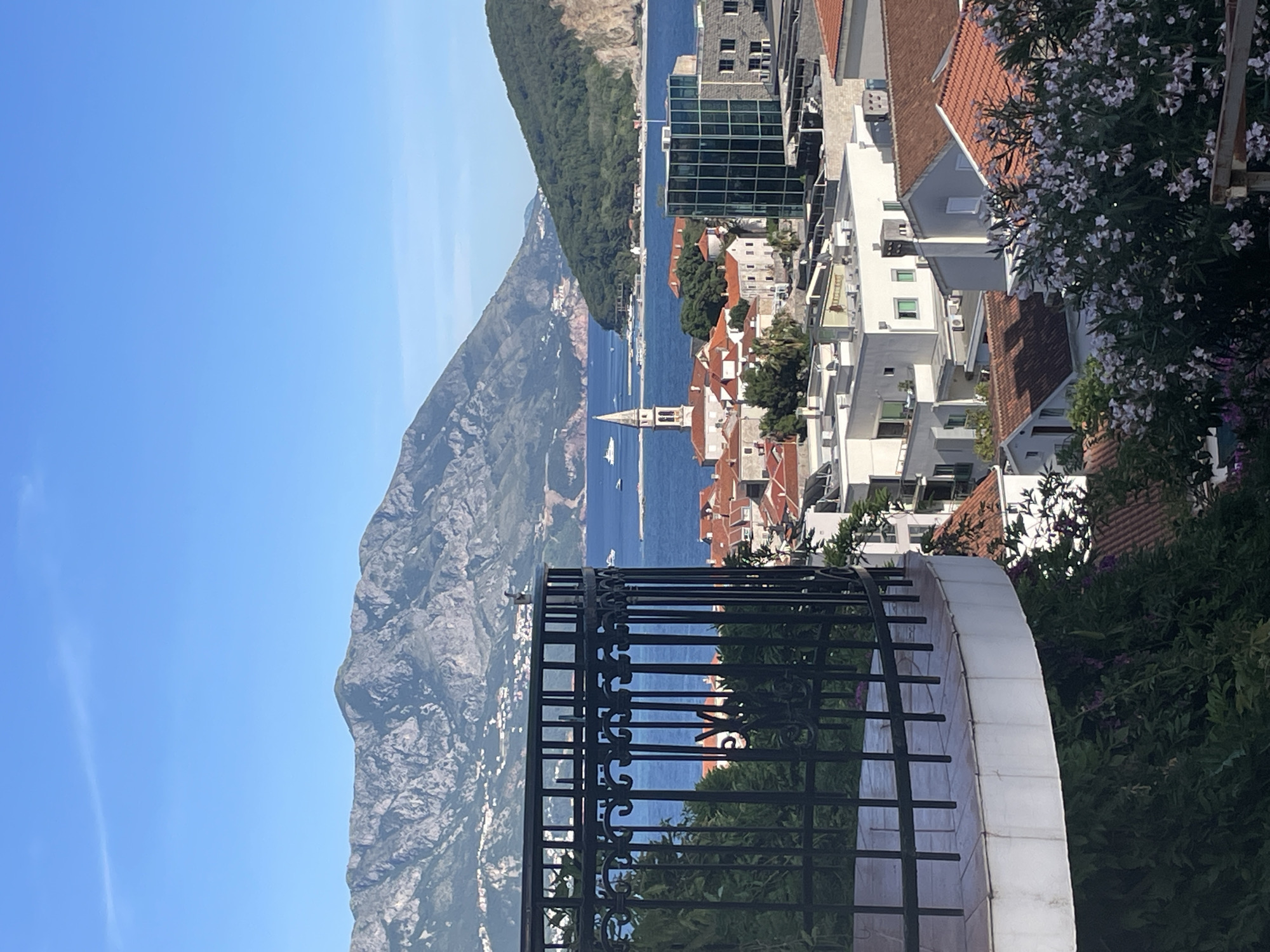 The image captures a cityscape from an elevated perspective, likely in Budva, Montenegro. The view is partially obscured by a black wrought iron fence and some vegetation in the foreground. Behind the fence, the scene opens up to reveal a bay with mountains rising sharply on the left side. Buildings with red-tiled roofs and modern white structures are visible, along with a prominent church tower with a pointed spire. The water is blue, and there are a few boats or ships visible in the distance. The sky is clear and blue. A flowering tree or bush with white and purple blossoms is present on the right side of the frame, adding a touch of nature to the urban view.