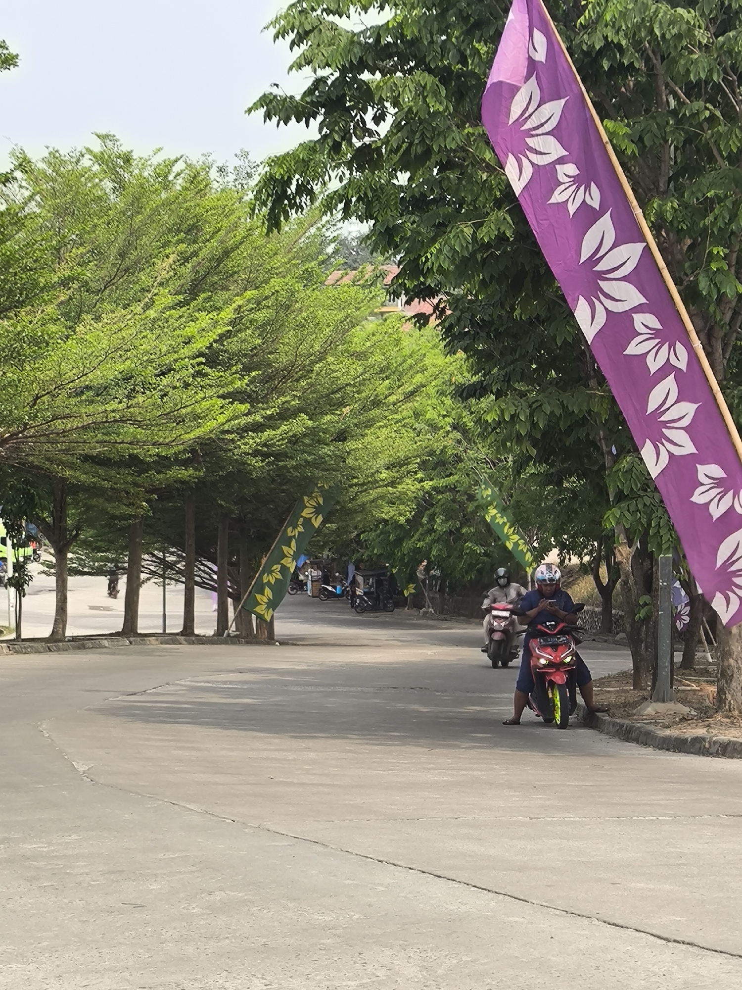 The image captures a street scene in Cilegon, Indonesia. The foreground shows a light-colored asphalt road with a distinct crack running through it. In the mid-ground, a person is riding a red scooter, wearing a blue shirt, blue shorts, and a helmet, while looking at their phone. To the left and slightly behind this scooter, another person is riding a lighter-colored scooter, also wearing a helmet. A row of trees with vibrant green foliage lines the right side of the road, and a purple flag with white floral patterns is prominently displayed on a bamboo pole on the far right. Further down the road, more trees create a canopy, and several other scooters are visible, some with riders and others parked. Green and yellow flags with leaf patterns are also visible on poles amidst the trees. The background shows more trees and buildings, suggesting an urban or semi-urban environment. The sky is overcast.