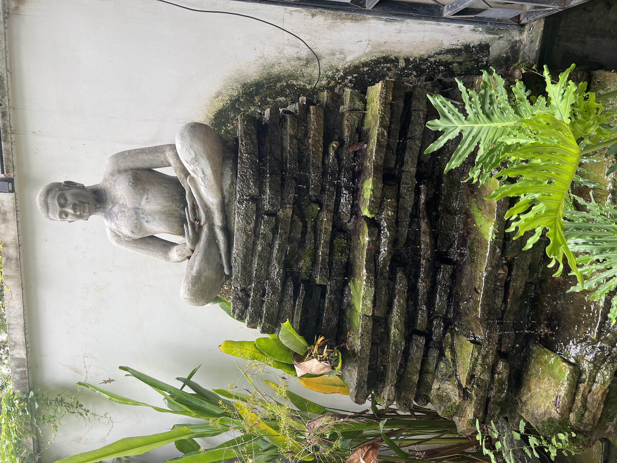 The image captures an outdoor scene in Siem Reap, Cambodia, featuring a stone statue of a meditating Buddha positioned atop a multi-tiered rock formation that serves as a water feature. Water cascades down the stacked stones, some of which are covered in moss. Lush green foliage, including large-leafed plants and slender stalks, surrounds the base of the rock formation and extends up the left side of the frame. A white wall serves as the backdrop, with a weathered appearance and some green algae stains near the top right. A black electrical wire is visible extending from the wall. The lighting suggests an overcast or shaded day. The overall impression is of a tranquil garden element within a more urban setting.