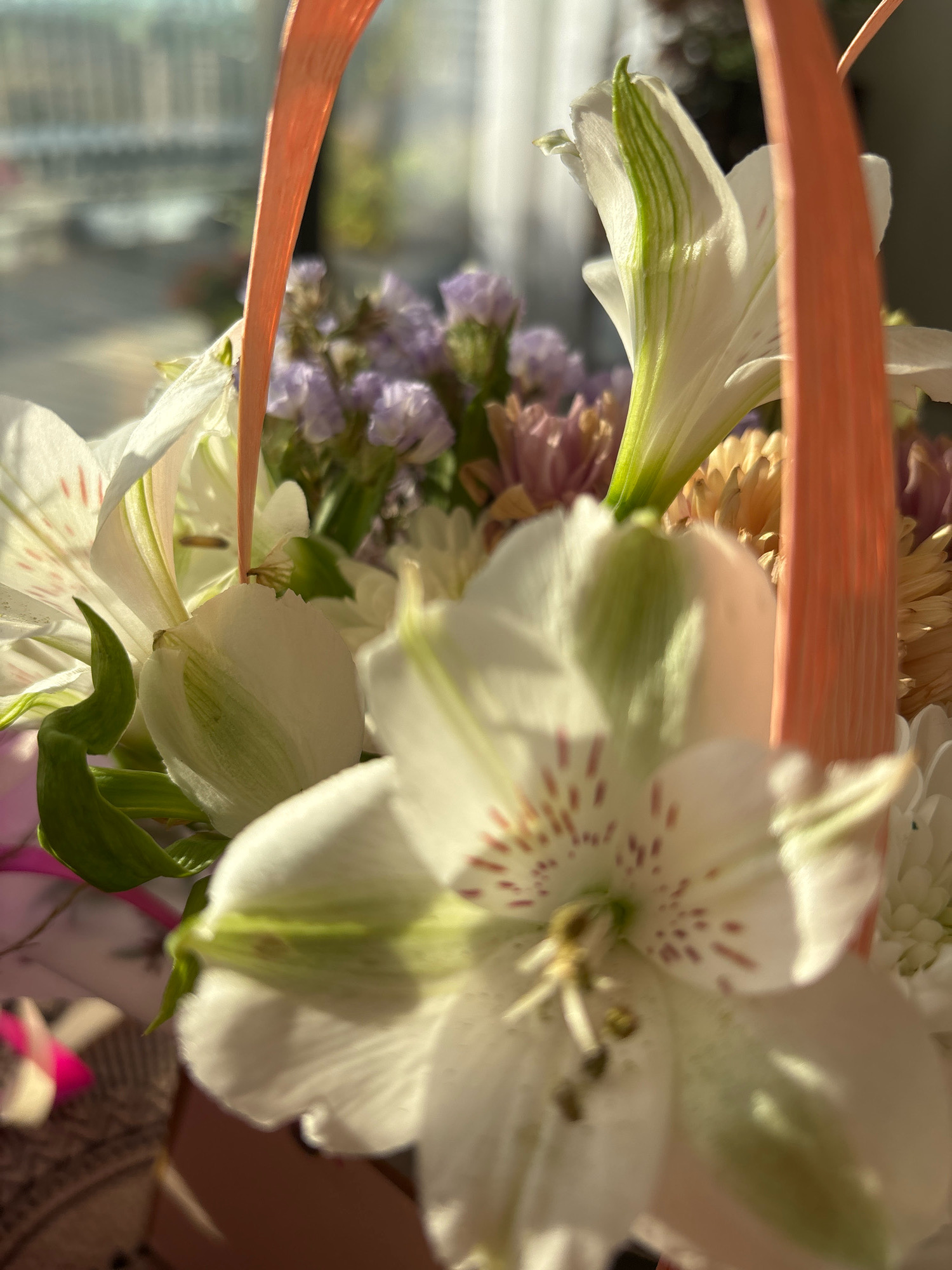 A close-up shot of a bouquet of white Alstroemeria flowers, with hints of green and pink spotting on their petals. The flowers are arranged in a light pink woven basket. In the background, out of focus, are other floral elements, including purple statice flowers and possibly chrysanthemums. Sunlight streams in from the right, casting shadows and highlighting the delicate textures of the petals. The overall scene appears to be an indoor setting, possibly a home or a florist's shop, given the lighting and composition. The image does not provide any information about Sapronovo, Russia.