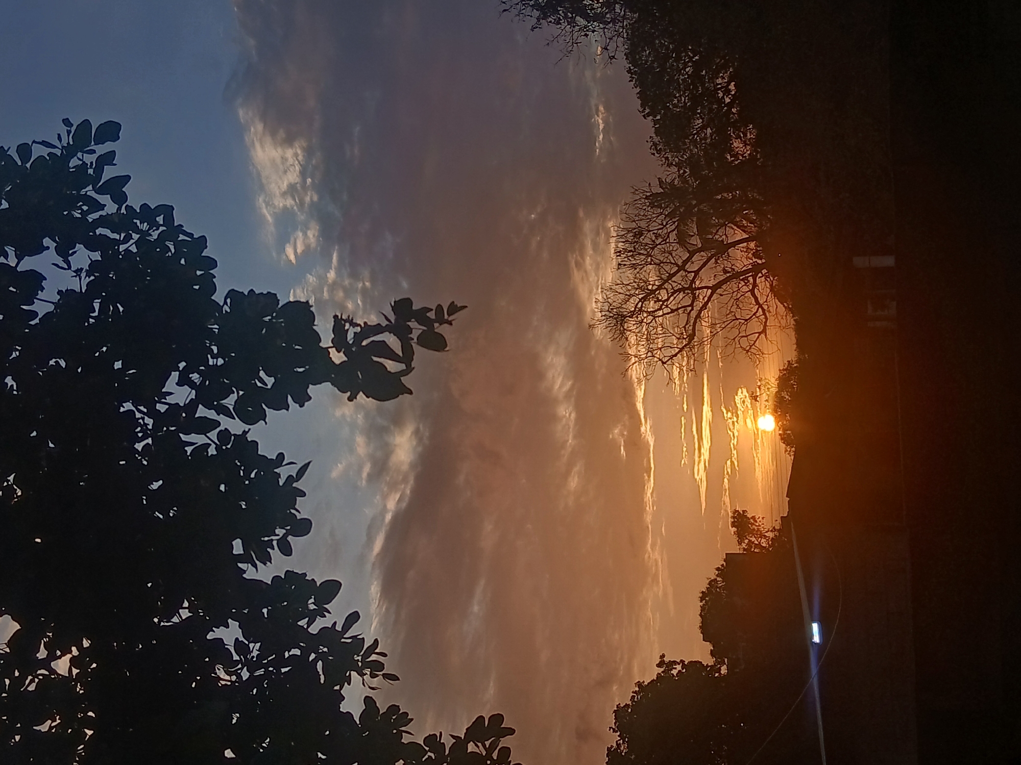 The image is a nighttime outdoor shot of a sunset over Juan Griego, Venezuela. Silhouetted trees frame the left and right sides of the image. The sky contains streaks of orange from the setting sun, with clouds reflecting the light. A street light is visible on the right side.