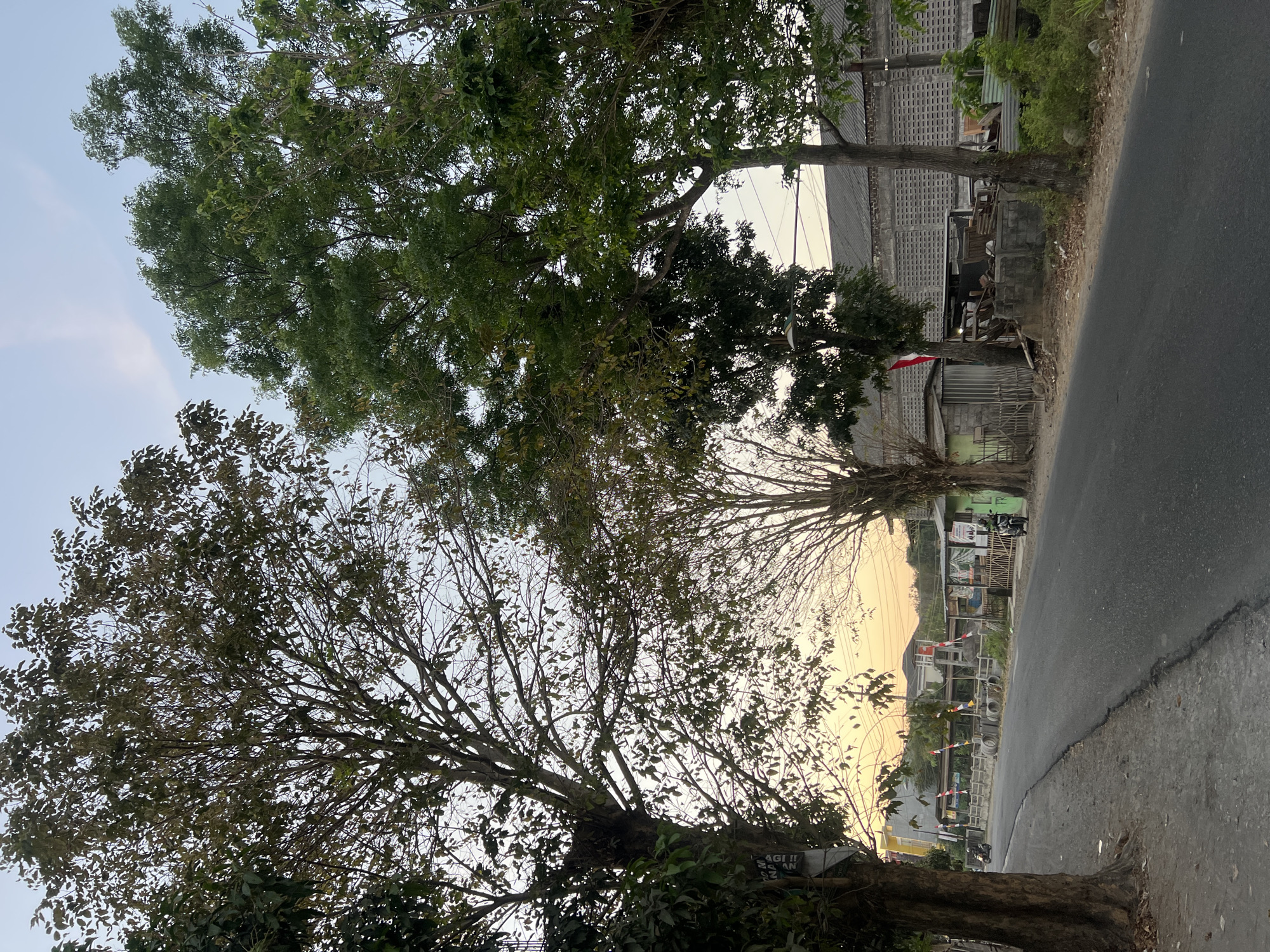 An exterior, eye-level, medium shot captures a rural road in Sendangadi, Indonesia, at dusk. The road, paved and gray, curves to the left in the foreground. On the left, a large tree with dark, textured bark stands prominently, its branches extending upwards and to the right, partially obscuring the sky. On the right, several trees with green foliage also reach towards the sky.
In the middle ground, a small, weathered building with a corrugated metal roof is visible, adorned with a red and white flag. Adjacent to it are various objects, including stacks of wood and building materials, suggesting a construction or storage area. A short, gray fence lines the front of this area. Further down the road, more buildings and structures are present, with a light yellow glow on the horizon indicating the setting sun.
Two motorcycles are parked on the right side of the road, one near the fenced area and another further down. A few scattered stones and debris are visible on the unpaved shoulder of the road. The sky above is a pale blue with faint streaks of white clouds. The overall impression is a quiet, semi-urban or rural setting during the transitional light of twilight.