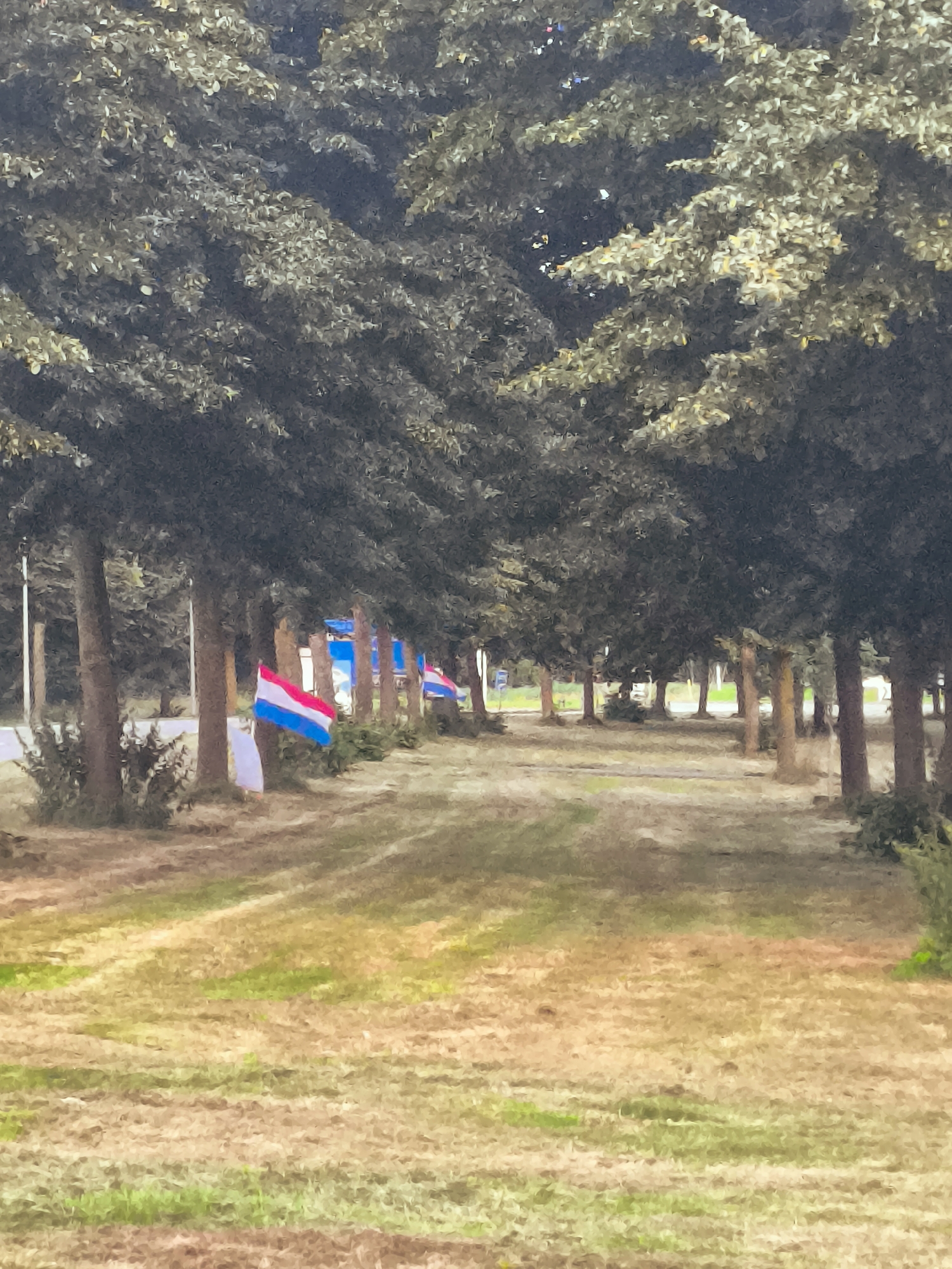 The image shows a row of trees lining a path with a grassy area on the right. In the background, there are several flags displayed, appearing to be the national flag of Luxembourg (red, white, and blue horizontal stripes). The scene is outdoors and appears to be in a park or along a road. The overall impression is one of a calm, perhaps festive, outdoor setting. The exact location in Almere, Netherlands, cannot be determined from the image alone.