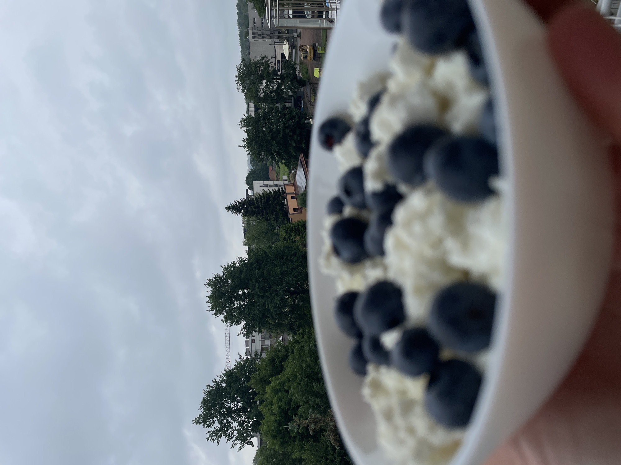 The image, presented in a sideways orientation, features a close-up of a white bowl filled with food, held by a person's hand, against an outdoor backdrop. In the foreground, a round white bowl contains a white, lumpy substance, likely cottage cheese or a similar dairy product, generously adorned with numerous dark blue blueberries. A person's hand, specifically fingers, is partially visible on the right side, holding the bowl.
The background is a slightly blurred yet discernible urban or suburban landscape under a cloudy sky. A significant portion of the midground is covered by dense, green trees. Beyond the trees, several multi-story buildings with modern architecture, including balconies and railings, are visible. In the upper right quadrant of the background, a tall construction crane can be seen rising above the buildings and trees. The sky is overcast and uniformly light grey, indicating heavy cloud cover.
The scene suggests an outdoor setting, possibly a balcony or terrace, where someone is about to eat or display their meal. The time of day is ambiguous due to the lack of direct sunlight, but the weather is clearly cloudy. There are no other people visible, nor is there any discernible text within the image.