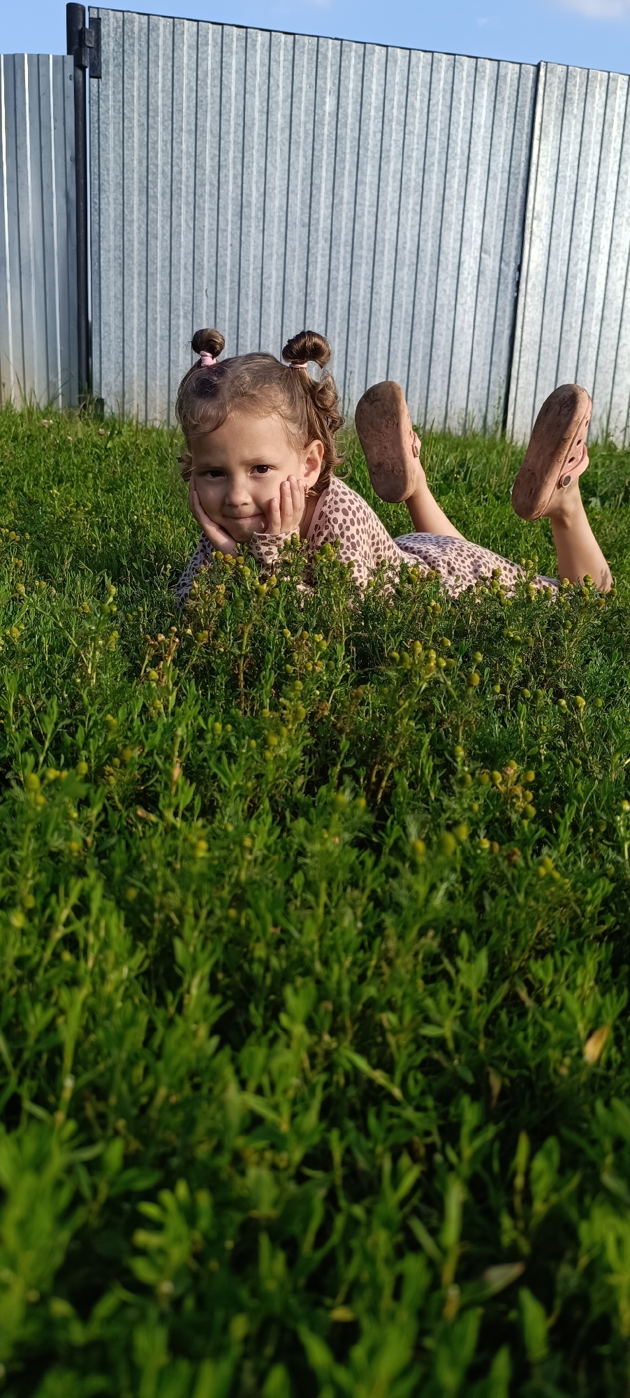 A young girl with curly brown hair styled in two pigtails lies on her stomach in a grassy field. She is looking towards the camera with her chin resting on her hands and a slight smile on her face. The girl is wearing a light-colored dress with a dark brown spotted pattern. Her feet are raised in the air, showing the soles of her light pink shoes, which appear dirty.
The setting is outdoors on a sunny day, indicated by the bright lighting and the clear blue sky visible in the background. Behind the girl, a corrugated metal fence runs horizontally across the frame, suggesting an outdoor space like a backyard or a rural property. The foreground is filled with lush green grass and small, yellow-flowered plants, some of which are blurred due to being closer to the camera. The overall impression is a candid and playful moment captured on a warm day. The location is Karsha, Russia. There is no visible text in the image.