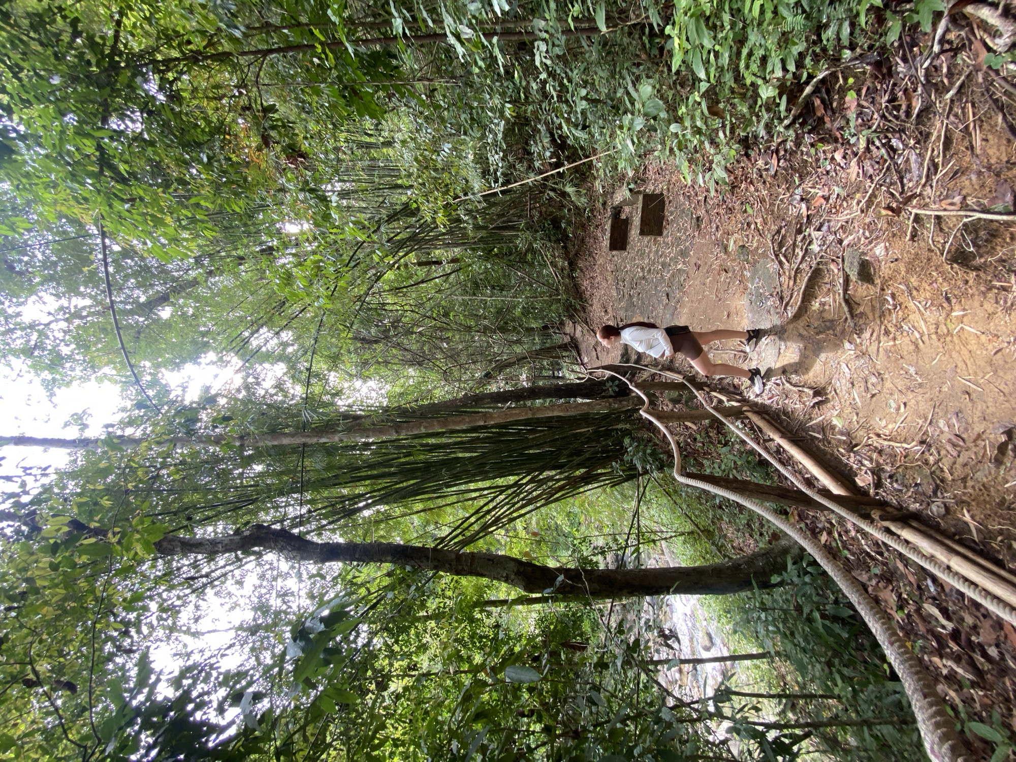 A person is hiking along a dirt path through a dense forest in Tambon Thai Mueang, Thailand. The path is uneven, with tree roots exposed and steps constructed with logs and dirt. The surrounding vegetation includes various trees, bamboo, and lush green foliage. A rope is used to help hikers navigate the steep terrain. A stream is visible through the trees to the side of the path.
