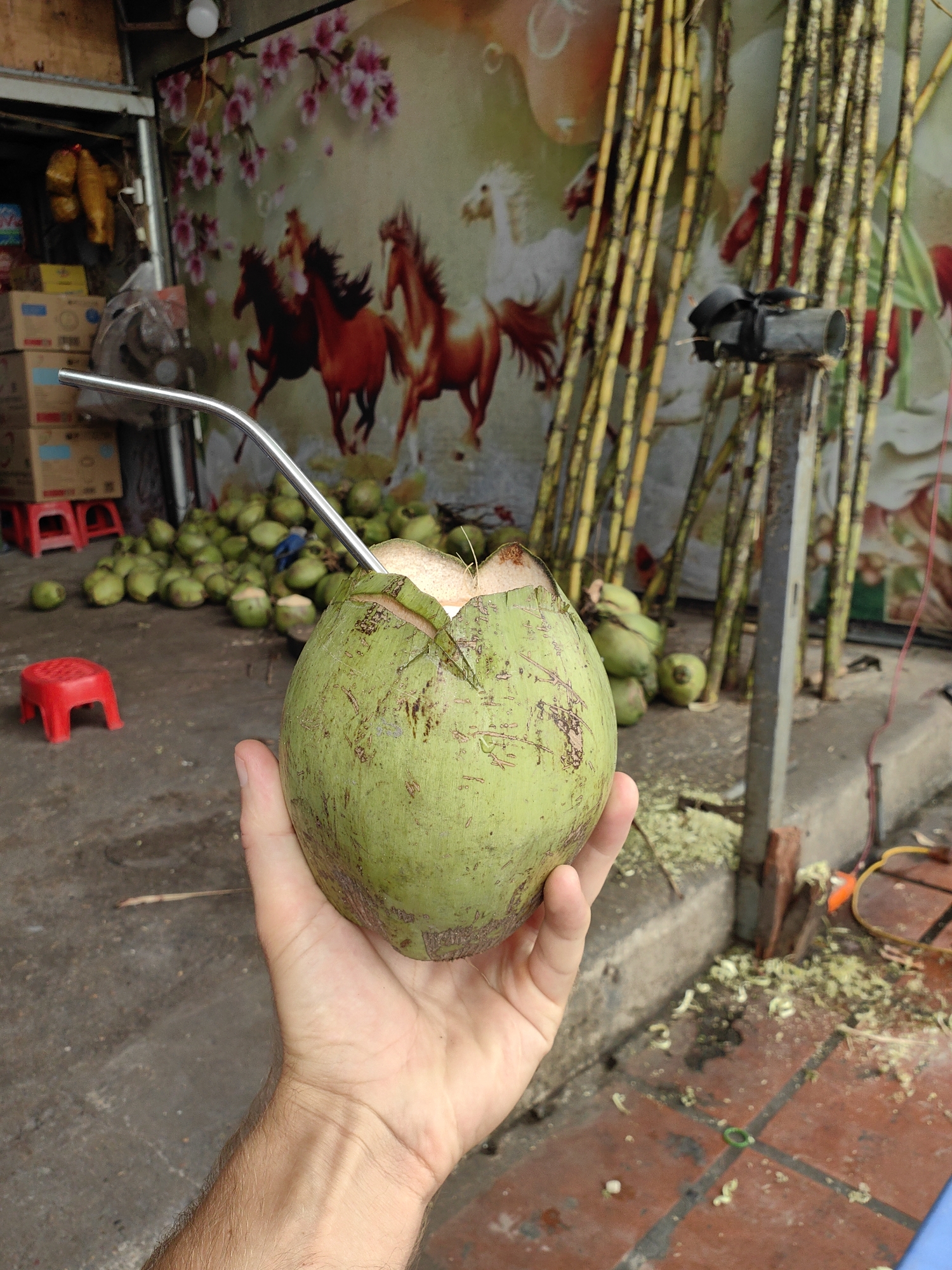 A man holds a green coconut with a metal straw inserted in front of a sugarcane juice stand in Cao Xanh Ward, Vietnam. The background includes sugarcane stalks, a stand, multiple coconuts, and a mural of horses. A small red stool is visible. Debris from sugarcane cutting is scattered on the ground.