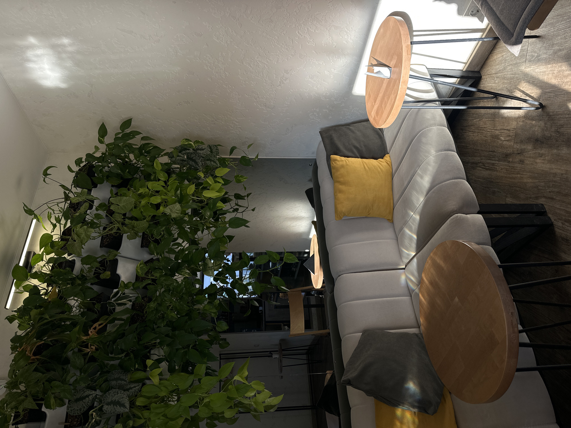 The image captures a bright and modern indoor living space, likely a living room or lounge area, bathed in natural light. On the right, a long, light grey sectional sofa features a distinctive ribbed or wavy texture. It is accessorized with one vibrant yellow throw pillow and two dark grey throw pillows. Flanking the sofa are two round wooden side tables, each supported by slender black metal bases.
To the left, a striking vertical plant wall is densely populated with various green leafy plants, including varieties resembling pothos. The plants are arranged in multiple pots, some white and some black, creating a lush, natural accent. A linear light fixture, possibly an LED strip, is integrated into the plant wall, providing additional illumination to the foliage.
Strong, direct sunlight streams into the room, creating prominent highlights and dappled patterns on the textured white ceiling, the light-colored wooden floor, and the furniture. Rainbow-like light refractions are visible on one of the grey pillows and near the lower wooden side table. The scene depicts a static interior, devoid of people or specific activities. No text is visible within the frame. The overall atmosphere suggests a comfortable, contemporary, and nature-infused environment.