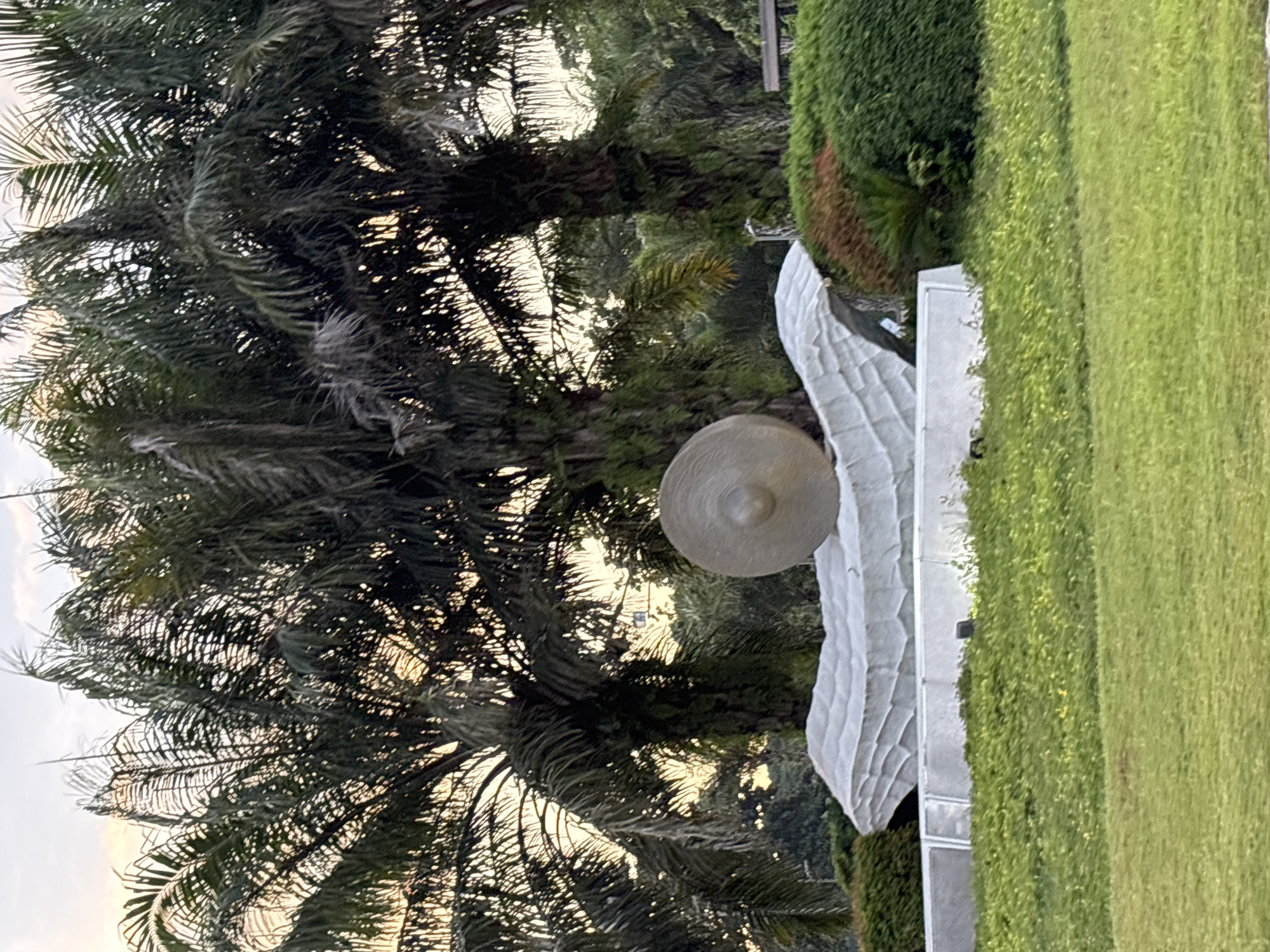 A large, circular bronze gong-like sculpture rests atop a white, abstract art installation that resembles a rippling wave or folded fabric. This artwork is situated in a park-like setting with lush green grass in the foreground, manicured bushes, and several tall palm trees in the background. The sky above is overcast with hints of sunset colors. In the distance, a building or structure can be faintly seen through the palm fronds. This sculpture is likely part of the People's Park in Davao City, Philippines, a prominent public space known for its sculptures and green spaces. The scene is peaceful and appears to be set during the late afternoon or early evening. No people are visible in the image.