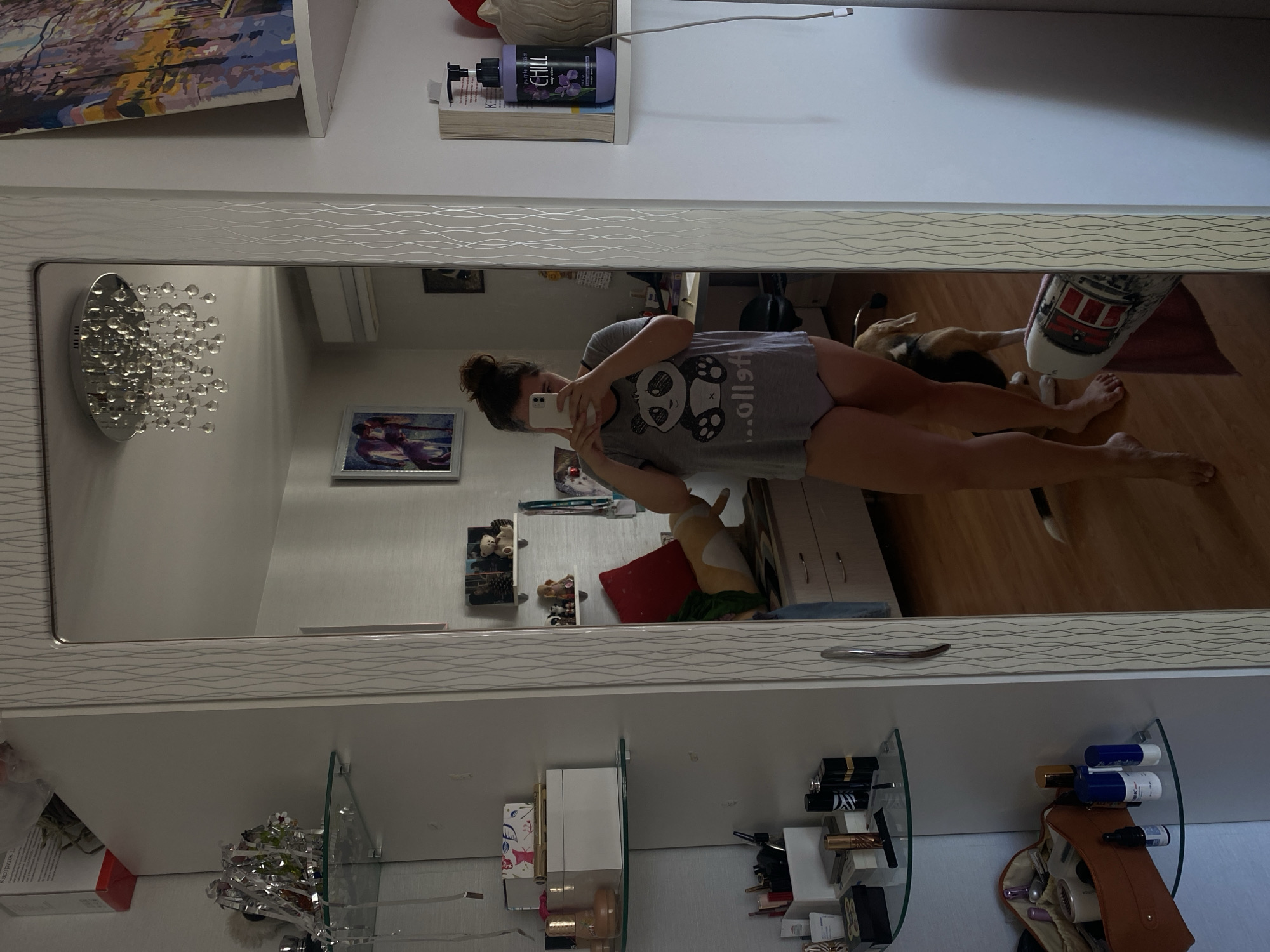 A woman is taking a mirror selfie in a bedroom. She is wearing a grey t-shirt with a panda graphic and grey underwear. She has her hair pulled up in a bun. A dog is visible in the reflection, standing behind her. The room has a closet with mirrored doors, shelves filled with various items including toiletries, decorations, and books. A painting hangs on the wall. The floor is wooden. The setting appears to be a domestic interior. There is no specific information within the image to indicate the city of Perm, Russia.