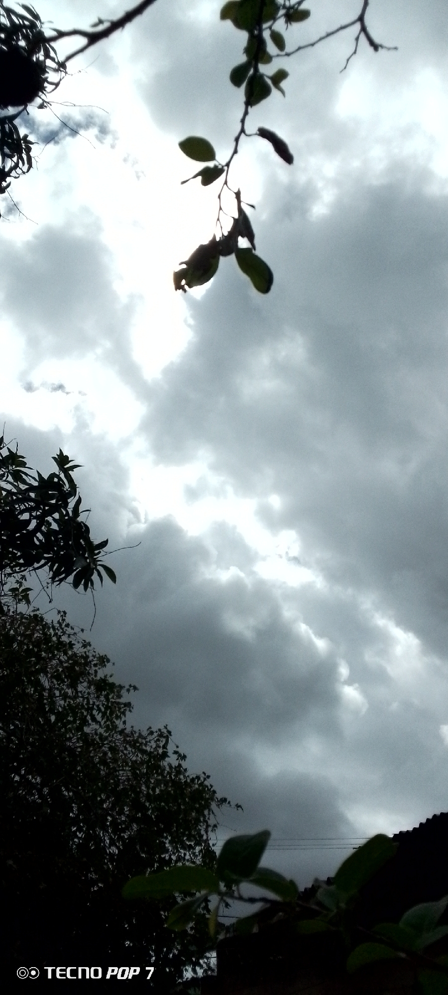 This image captures a dramatic sky filled with dark, heavy clouds, suggesting an impending storm. Silhouetted against the turbulent sky are branches and leaves of trees, with some leaves appearing backlit by a faint light source breaking through the clouds. In the lower left corner, the dark foliage of a dense tree is visible, and to the right, the edge of a tiled roof can be seen. The overall impression is one of a moody, overcast day in Altagracia, Venezuela, with nature asserting its presence against the urban backdrop. The bottom left of the image includes a watermark that reads "TECNO POP 7". No people or active interactions are depicted.