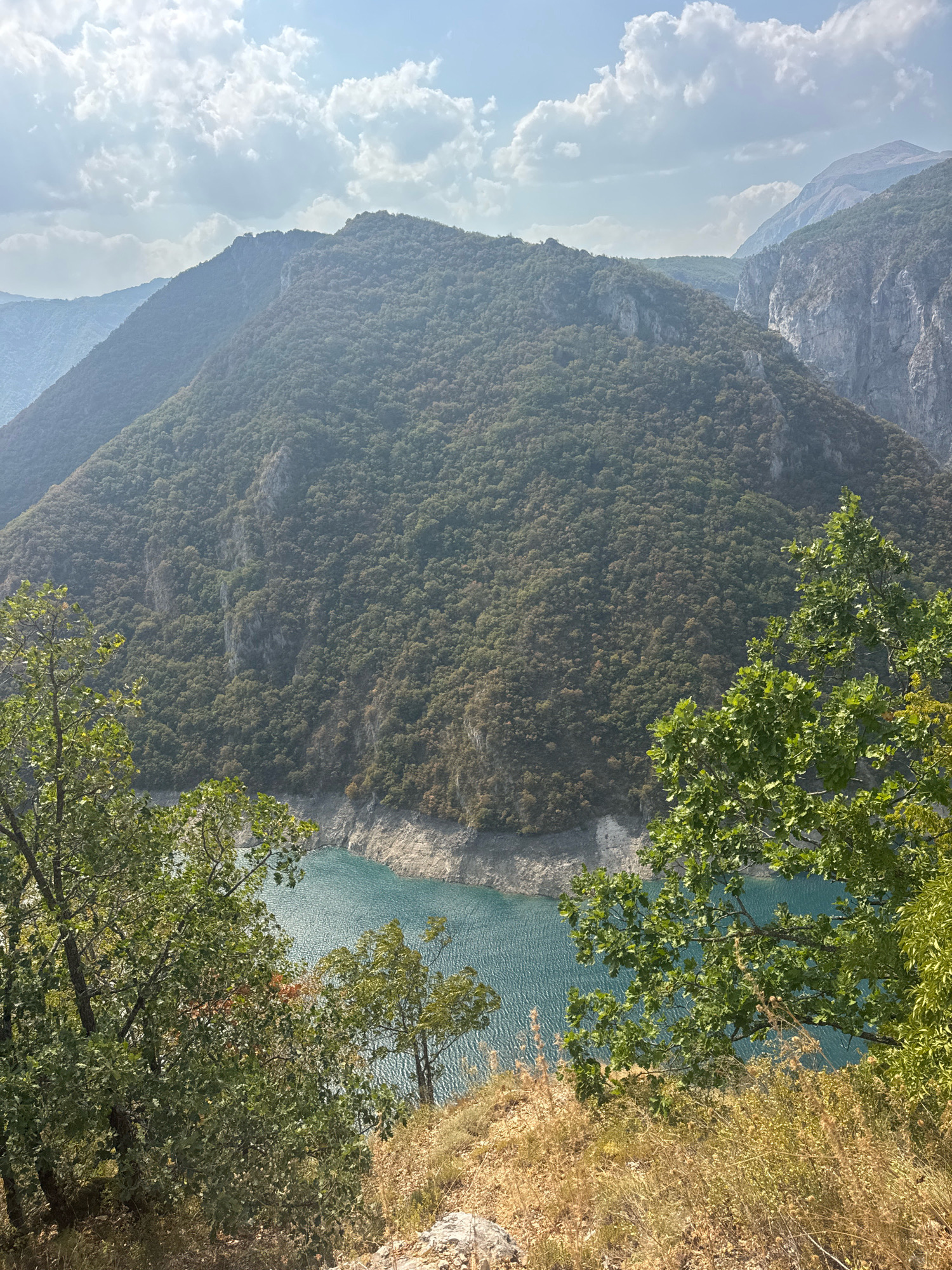 This image captures a scenic view of a mountainous landscape with a vibrant turquoise lake in Plužine, Montenegro. The foreground features lush green trees with textured bark, their branches extending towards the viewer. The ground beneath the trees is covered with dry grass and some rocky terrain, suggesting a natural, undeveloped area.
Dominating the mid-ground and background are steep, forest-covered mountains, their slopes dense with dark green foliage. The mountains are rugged, with visible rock faces and formations interspersed among the trees. The lake, identified as likely part of the Piva Lake, lies nestled at the base of these mountains, its surface rippling under the sunlight, reflecting the clear blue sky.
The sky above is a soft blue, adorned with scattered white clouds. The overall impression is one of natural beauty and tranquility, showcasing the dramatic topography and the serene water body characteristic of the Plužine region. The lighting suggests it is daytime, with the sun casting a gentle glow on the scene. No people or man-made structures are visible in the frame, emphasizing the untouched, natural environment.