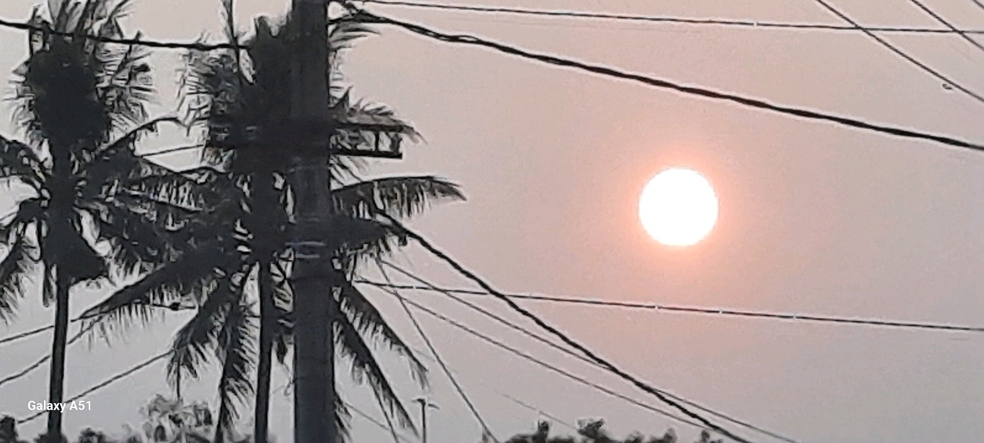 The image captures a hazy sunset over Selopuro, Indonesia, with the sun appearing as a bright, diffused orb against a pale pink sky. Silhouetted against this backdrop are the dark, feathery fronds of several palm trees, their forms softened by the atmospheric conditions. Utility poles and a complex network of power lines crisscross the frame, adding a man-made element to the natural scene. The "Galaxy A51" watermark in the lower left corner indicates the device used for capture. The overall impression is one of a quiet, perhaps humid, tropical evening.
