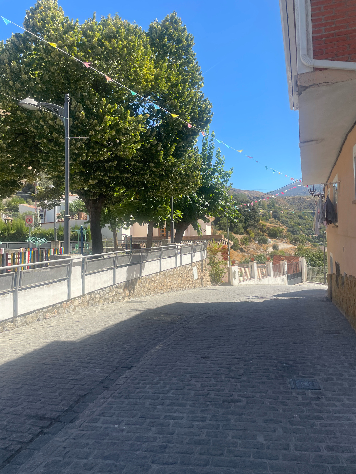 The image depicts a narrow, cobblestone street in Güéjar Sierra, Spain, on a clear, sunny day. The street slopes gently upwards and to the right, bordered on the left by a retaining wall with a metal railing and a children's play area behind it. Large trees with full green canopies line the left side of the street, casting shadows across the pavement. Colorful triangular flags are strung across the street between the trees and buildings, suggesting a festive occasion.
To the right, a building with a light-colored facade and a brick section is visible, with laundry hanging from a window. Further down the street, the view opens up to a landscape of hills covered in vegetation, with houses nestled among the trees. The sky is a vibrant, cloudless blue. The cobblestone pavement shows signs of wear and some cracking. A metal street light is present on the left side of the street, and a metal grate is visible embedded in the cobblestones on the right side. There are no people or animals visible in the image.