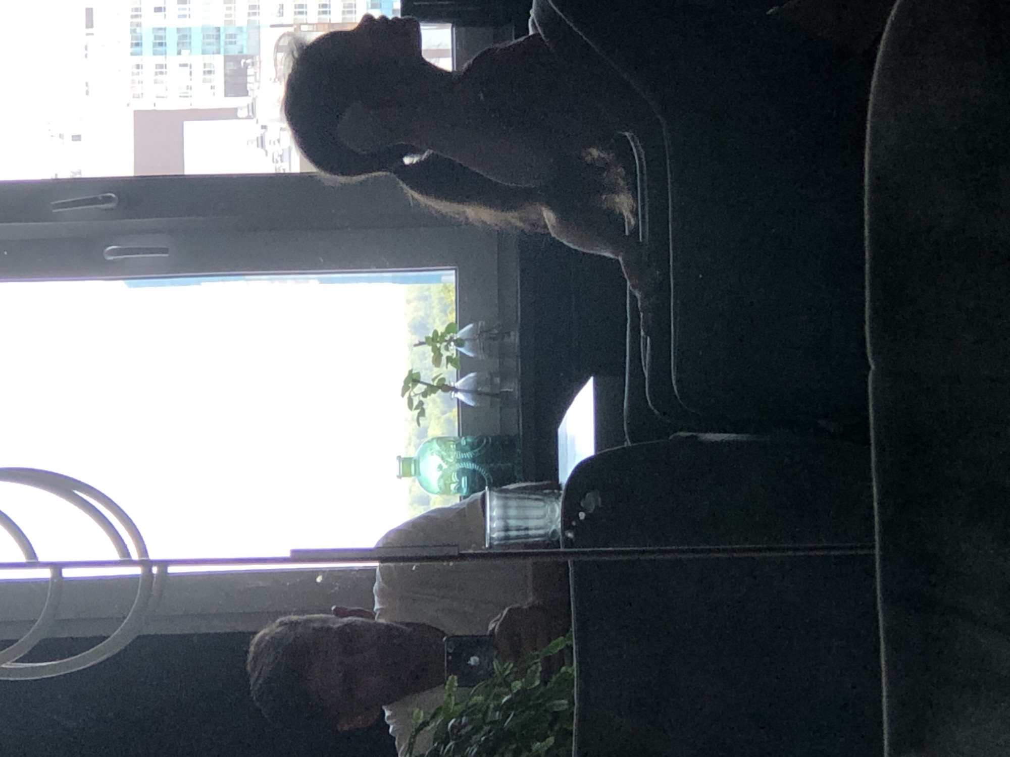 The image captures a reflection in a window. In the foreground, a person is seated, holding a phone, and looking down. To their right, a table holds a glass and a decorative green bottle. Further to the right, a young person is partially visible in silhouette, facing away from the camera. Beyond the window, a city skyline is visible, indicating an urban setting. The presence of buildings and a window suggests an indoor location within a city. There is no specific visual information within the image that can identify the exact location within Saint Petersburg, Russia.