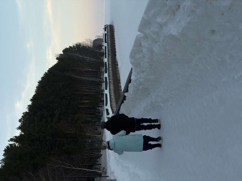 The scene depicts two individuals walking away from the viewer on a snow-covered pedestrian path alongside a frozen body of water in the city of Chaikovsky, Russia. The person on the left wears a light blue hooded puffer jacket, dark trousers, and dark boots, with a light-colored hat partially visible. The person on the right wears a dark winter coat, dark trousers, dark boots, and a dark cap; their left arm appears linked with the right arm of the person on the left.
To the immediate right of the path, a significant snow accumulation forms a bank, separating the path from a curved, dark-colored concrete embankment wall with lighter-toned railings on top. Beyond this wall, a vast, flat expanse of snow-covered ice extends to the horizon. On the left side of the path, a dense forest of predominantly evergreen trees covers a rising slope, with some bare deciduous trees interspersed. Several dark streetlights or utility poles are visible along the path and the embankment. The sky, partially visible above the forest and the horizon, transitions from pale blue overhead to a soft orange-pink hue near the horizon, indicating either late afternoon or early morning light under winter conditions.