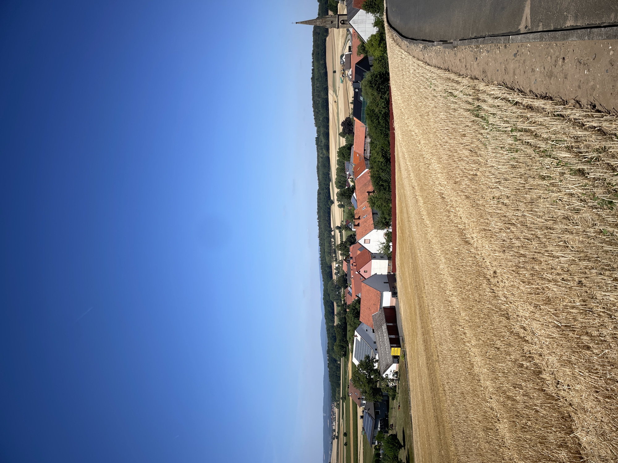 The image depicts a rural village in Seigertshausen, Germany, under a clear blue sky. In the foreground, a harvested wheat field stretches across the frame, with rows of stubble indicating recent agricultural activity. A paved road curves along the right edge of the field, bordered by a dirt shoulder. Beyond the field, the village of Seigertshausen unfolds. Numerous residential buildings with red-tiled roofs are visible, interspersed with trees and greenery. A prominent church steeple rises above the rooftops on the right side of the village. In the distance, rolling hills and more agricultural fields form the horizon. The scene conveys a sense of peaceful, bucolic countryside life.
