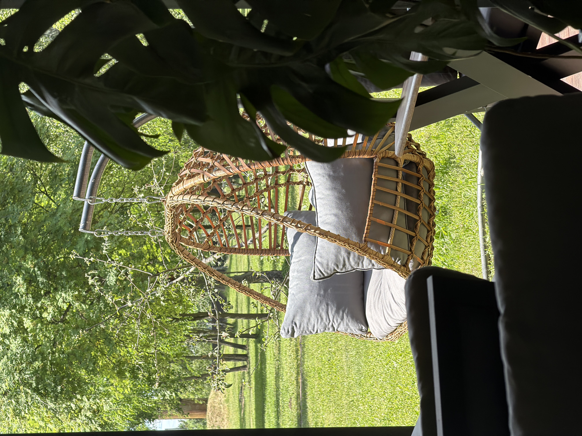 The image depicts a serene outdoor setting in Revne, Ukraine, featuring a hanging wicker chair adorned with gray cushions, suspended by chains from a metal frame. The chair is positioned in a lush green garden, with manicured grass and a backdrop of mature trees. In the foreground, the silhouette of furniture suggests a patio or covered seating area. A large Monstera plant with dark green leaves partially obscures the view of the hanging chair and the surrounding greenery. The lighting indicates a bright, sunny day.