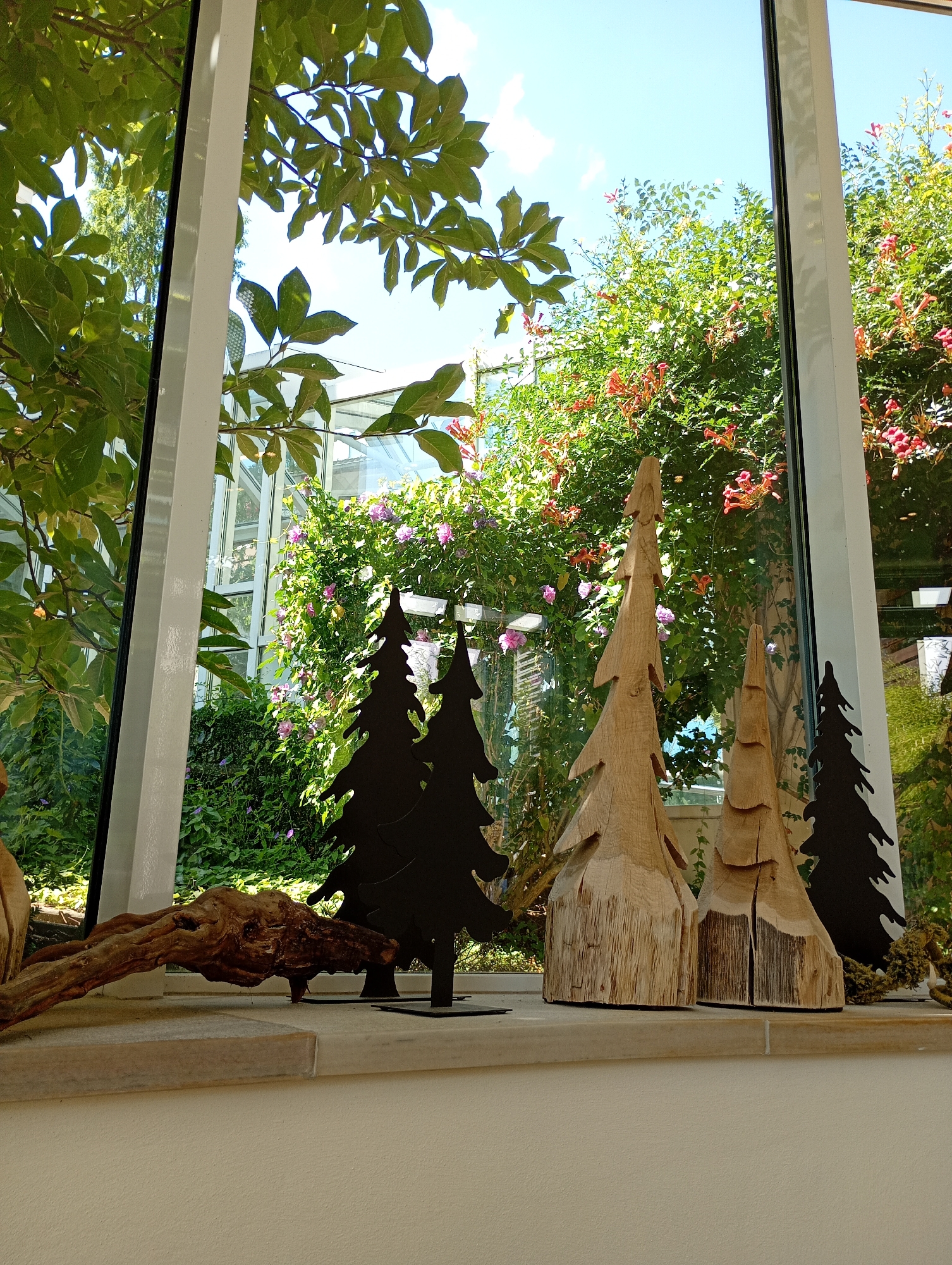 The image displays a view through a large window, likely in a conservatory or a building with extensive glazing, looking out onto a lush garden. The foreground features a stone windowsill on which several decorative objects are placed. These include a piece of gnarled driftwood, two silhouette cutouts of pine trees made of black metal, and two carved wooden trees. The wooden trees are rough-hewn and stand upright, showcasing the natural grain of the wood.
Beyond the windowsill and through the glass, a vibrant garden is visible. Various green plants and vines are abundant, some adorned with small pink and purple flowers, while others feature clusters of orange trumpet-shaped flowers. A section of a white greenhouse structure with a glass roof is partially visible in the background, suggesting a botanical garden or a similar controlled environment. The sky above is a clear, bright blue with a few wispy clouds.
The scene appears to be a still-life arrangement set against a natural backdrop. The lighting suggests a sunny day. The specific location in Bad Sachsa, Germany, is not discernible from the image itself, as there are no identifying landmarks or contextual clues within the frame.