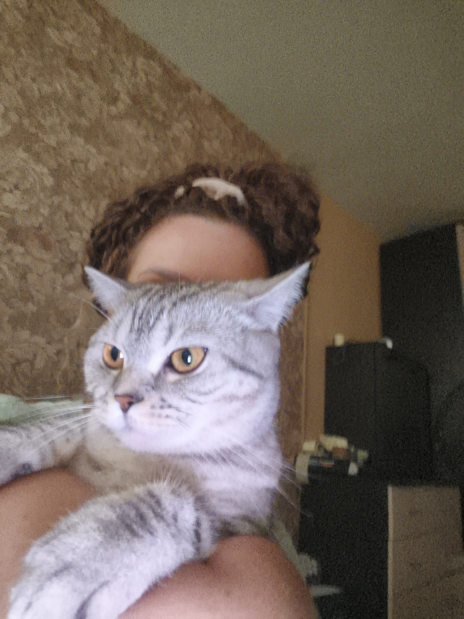 A person's head and shoulders are visible, with a cat held in their arms. The person has curly brown hair pulled back in a bun. The cat is a light gray tabby with prominent orange eyes. The background appears to be an indoor setting with a textured wall and dark furniture.