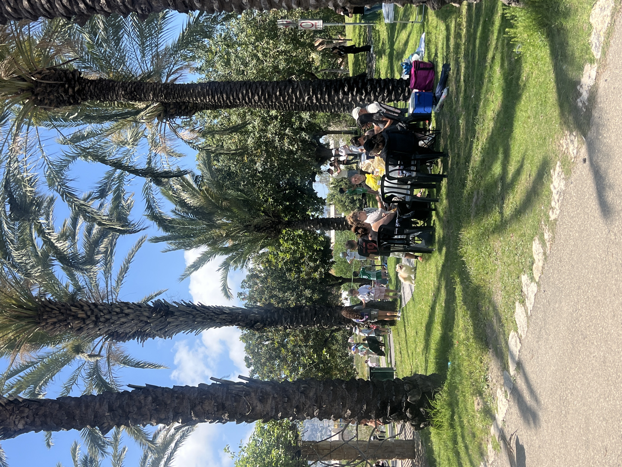 The image depicts a park scene with people gathered, likely in Unknown, Unknown, judging by the presence of palm trees. Several individuals are seated in black chairs, suggesting an organized event or a gathering. There are additional people standing near the seated group. The scene includes a paved path along the right edge of the frame, with grass and trees creating a park-like environment. Luggage or bags are present behind some of the chairs.