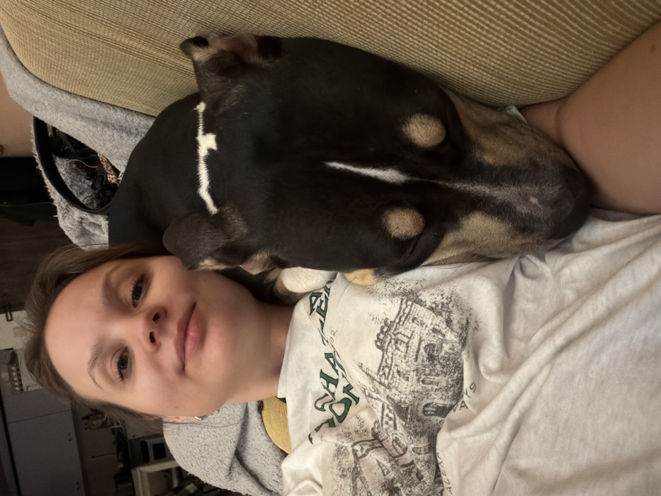 A person lies down, looking at the camera, with a black and brown dog resting its head on the person's chest. The person wears a light-colored T-shirt with a faded design and a gray hooded sweatshirt. The dog is mostly black with tan markings above its eyes and a white stripe on its head. A tan couch cushion is visible above the dog. In the blurred background, there's a cabinet and what seems to be a small white table.