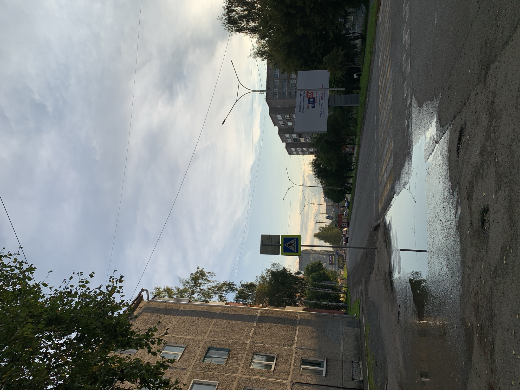 The image depicts an overcast sky above a street scene in Prokopyevsk, Russia. On the left, a grey, multi-story residential building with rows of windows dominates the foreground. Trees line the sidewalk in front of the building, with their leaves visible. A large puddle of water reflects the sky and surrounding elements on the asphalt in the immediate foreground.
The street itself features a pedestrian crossing marked with yellow and white stripes. A traffic sign indicating a pedestrian crossing is also visible. Further down the street, cars are driving, and several trees are planted along the roadside. On the right side of the street, a billboard with Russian text and an image related to elections is prominently displayed. Additional streetlights and buildings are visible in the background. The overall impression is that of a typical urban environment on a cloudy day.