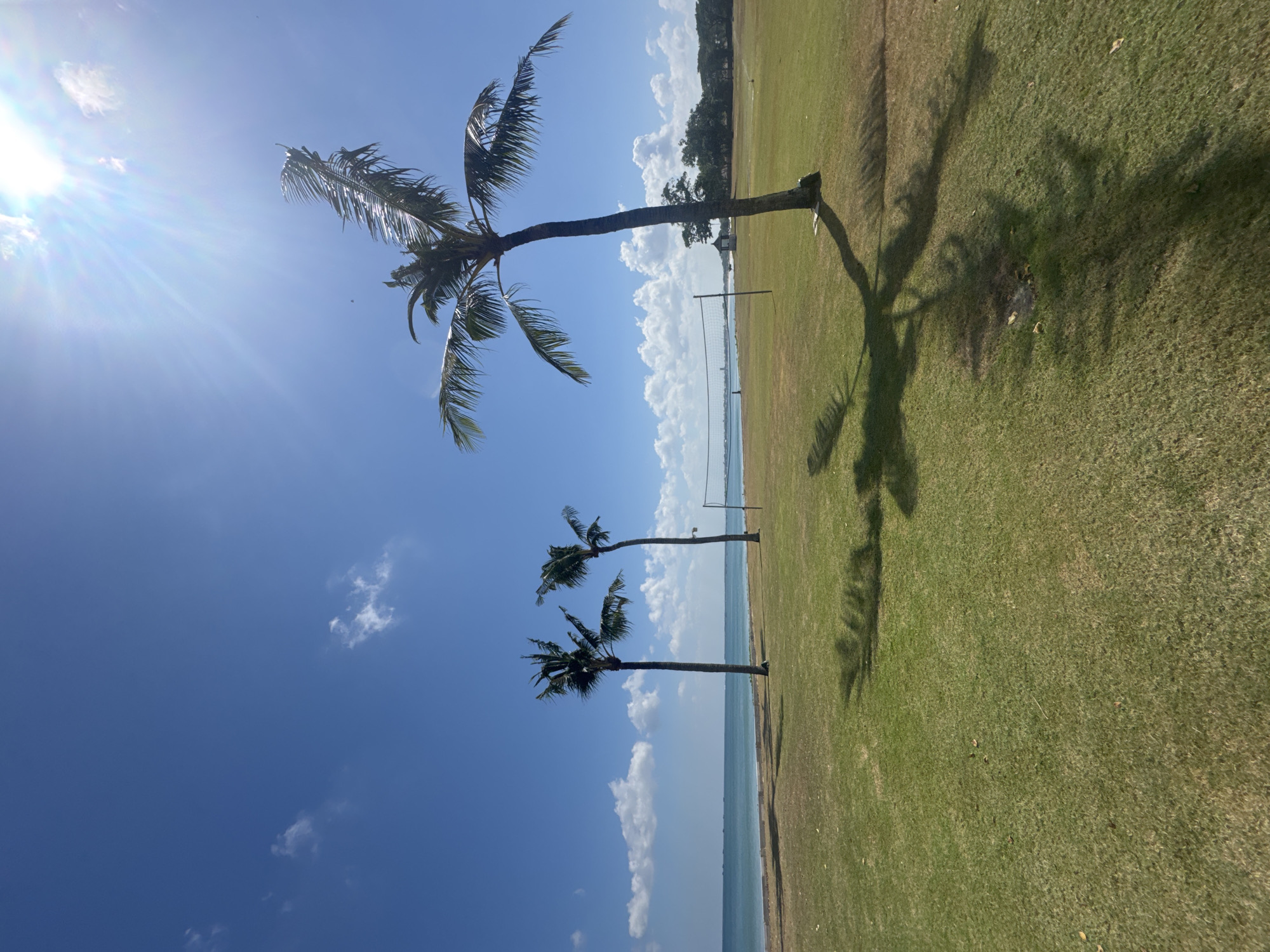 In Kuta Selatan, Indonesia, a sunny day unfolds at a coastal location. The sky is a vibrant blue, dotted with a few fluffy white clouds. The sun shines brightly, casting lens flare onto the image. The foreground is dominated by a lush green lawn, with the distinct shadows of palm trees stretching across it.
Several palm trees are visible. Two are grouped together on the left, standing tall against the horizon. Another, larger palm tree stands prominently on the right, its fronds reaching out. In the middle distance, a volleyball net is set up, suggesting recreational activity. Beyond the grassy area and the volleyball net, the turquoise water of the ocean meets a hazy horizon. The water appears calm. In the far distance, some structures and trees can be seen along the coastline. The overall scene conveys a peaceful, tropical atmosphere.