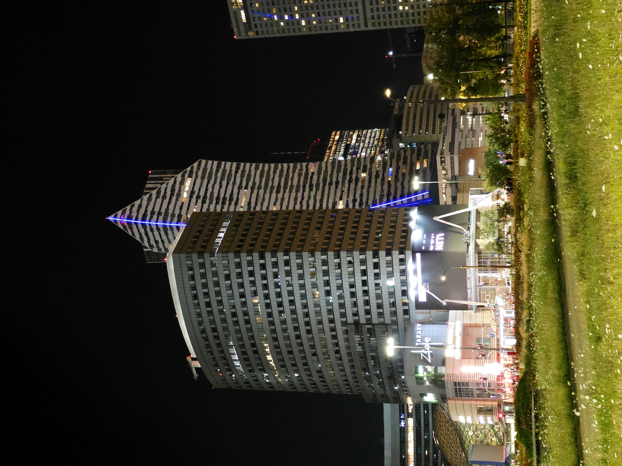 An eye-level, low-angle night-time exterior shot captures a cluster of modern skyscrapers and commercial buildings in Warsaw, Poland, with a foreground of blooming wildflowers and grass. The dominant structures are the Lumina Tower, a cylindrical building with a light-colored facade and numerous lit windows, and the Złote Tarasy shopping mall, a lower, multi-level structure with illuminated storefronts and a distinctive geodesic dome roof partially visible on the left. To the right of Lumina Tower, the Sky Tower, a sharply angled skyscraper with a white and black striped facade, is illuminated by blue lights along its edges. Further to the right, another tall skyscraper with a light facade and regularly spaced lit windows stands. The scene is characterized by a dark night sky providing a stark contrast to the brightly lit architecture. Streetlights are visible, casting pools of light on the ground and illuminating trees and landscaping in the mid-ground. No people are discernible in the image.