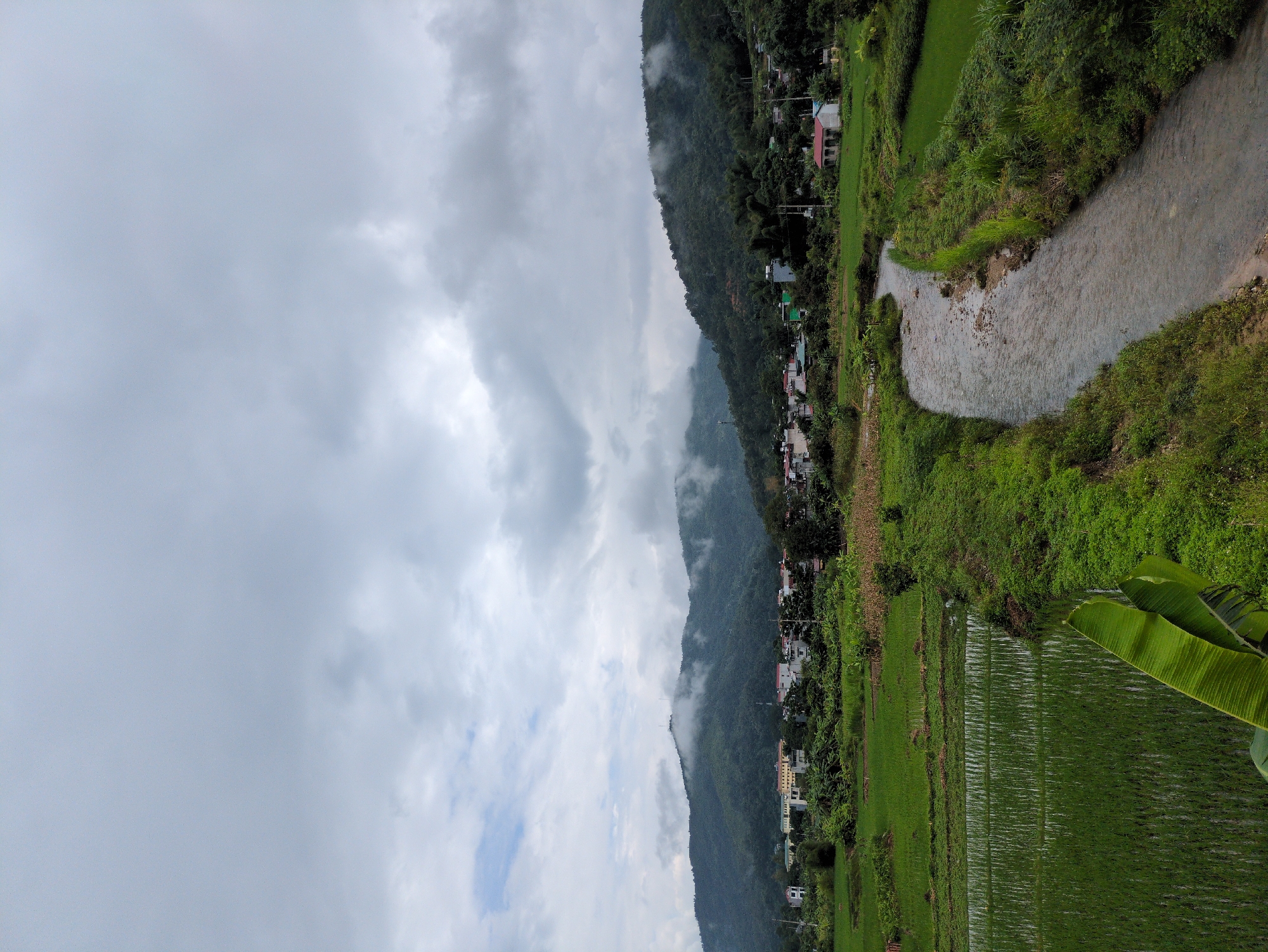 The image depicts a scenic view of a rural landscape in Yên Minh Commune, Vietnam, characterized by lush green rice paddies, a winding river, and mist-shrouded mountains in the background. The foreground features vibrant green rice fields, some of which are flooded and reflect the overcast sky. A narrow, murky river flows through the middle ground, bordered by dense vegetation and tall grasses. In the distance, a village is nestled at the foot of rolling, verdant mountains, with a few buildings visible amidst the trees. The sky is heavily clouded, with patches of mist clinging to the mountain slopes, creating a somewhat diffused and atmospheric light. No people are visible in the image. The overall impression is one of natural beauty and tranquility in a rural setting.