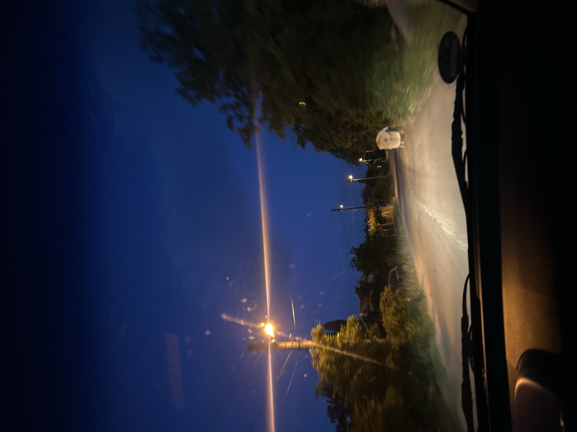 The scene is a nighttime view from inside a vehicle driving on a road. The sky is a dark blue. Streetlights illuminate the road ahead, which is lined with trees. There's a large, light-colored object or figure in the middle of the road, possibly an animal or obscured object. The vehicle's windshield and wipers are visible in the foreground. The location can be deduced to Pishtigovo, Bulgaria, based on provided information, if the image was taken there.