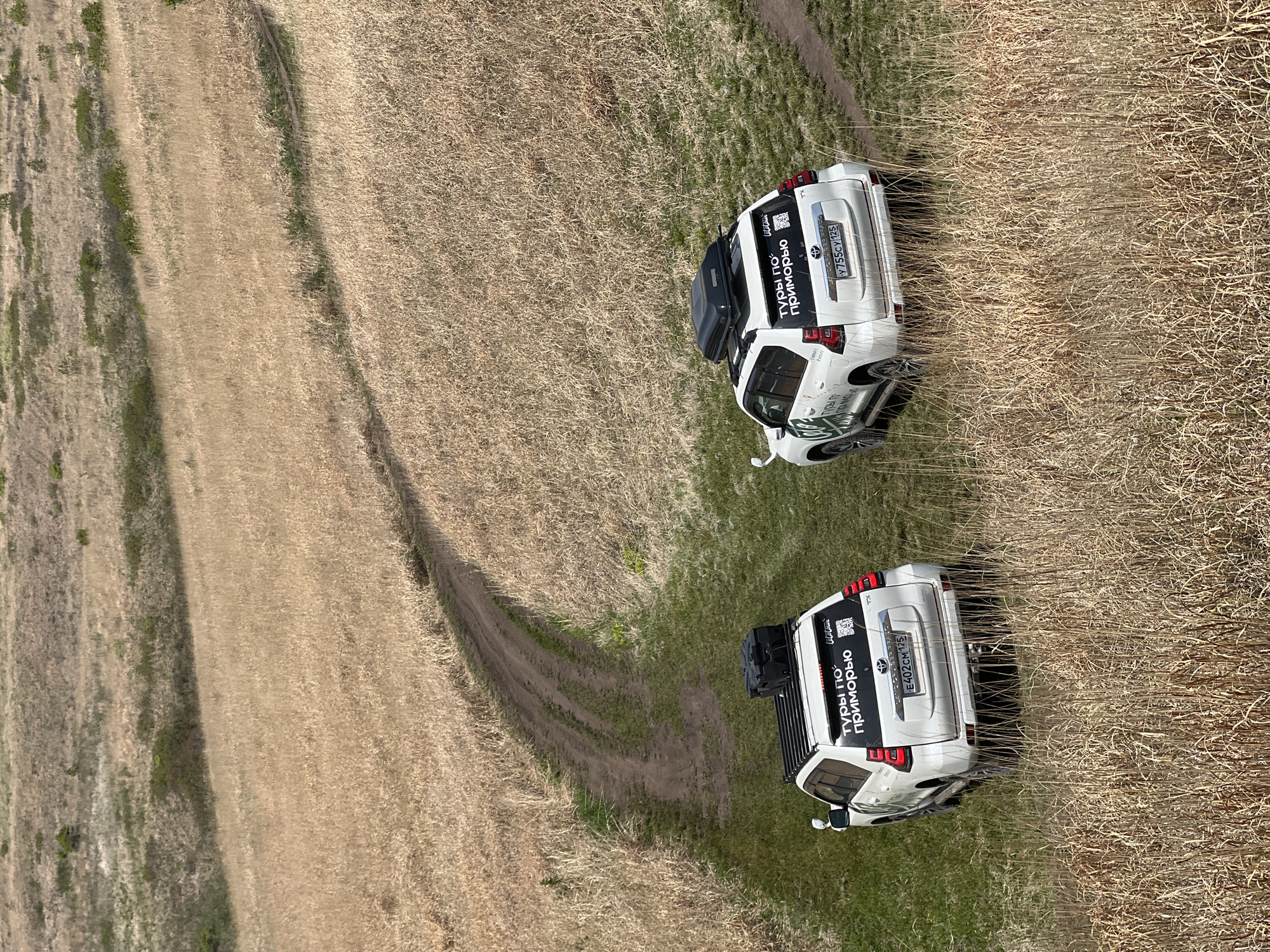 The image shows two white SUVs parked on a grassy field in what appears to be a rural or semi-rural area, likely located in Slavyanka, Russia, based on the license plates "125" which denote the Primorsky Krai region, where Slavyanka is located. The field consists of both green grass and dry, brown grass. A dirt road or path is visible between the cars. The back of each SUV is visible, displaying stickers written in Russian that say "Туры по-Приморью" (Tours of Primorye) and license plates. Both vehicles have a cargo carrier attached to the roof.