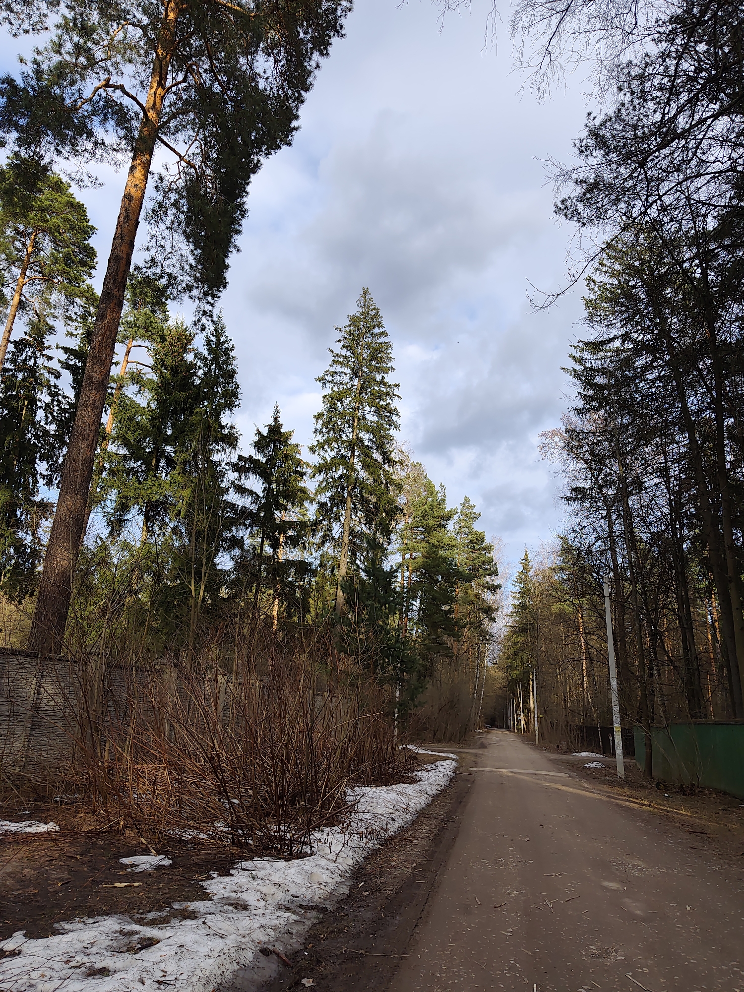The image depicts a dirt road winding through a forest in Kratovo, Russia. Along the left side of the road is a patch of melting snow adjacent to a dense thicket of leafless bushes and a low stone wall. Tall pine and deciduous trees line both sides of the road, creating a tunnel effect. The sky is overcast with cloudy patches. A green fence runs along the right side of the road in the distance. No people or animals are visible in the image.