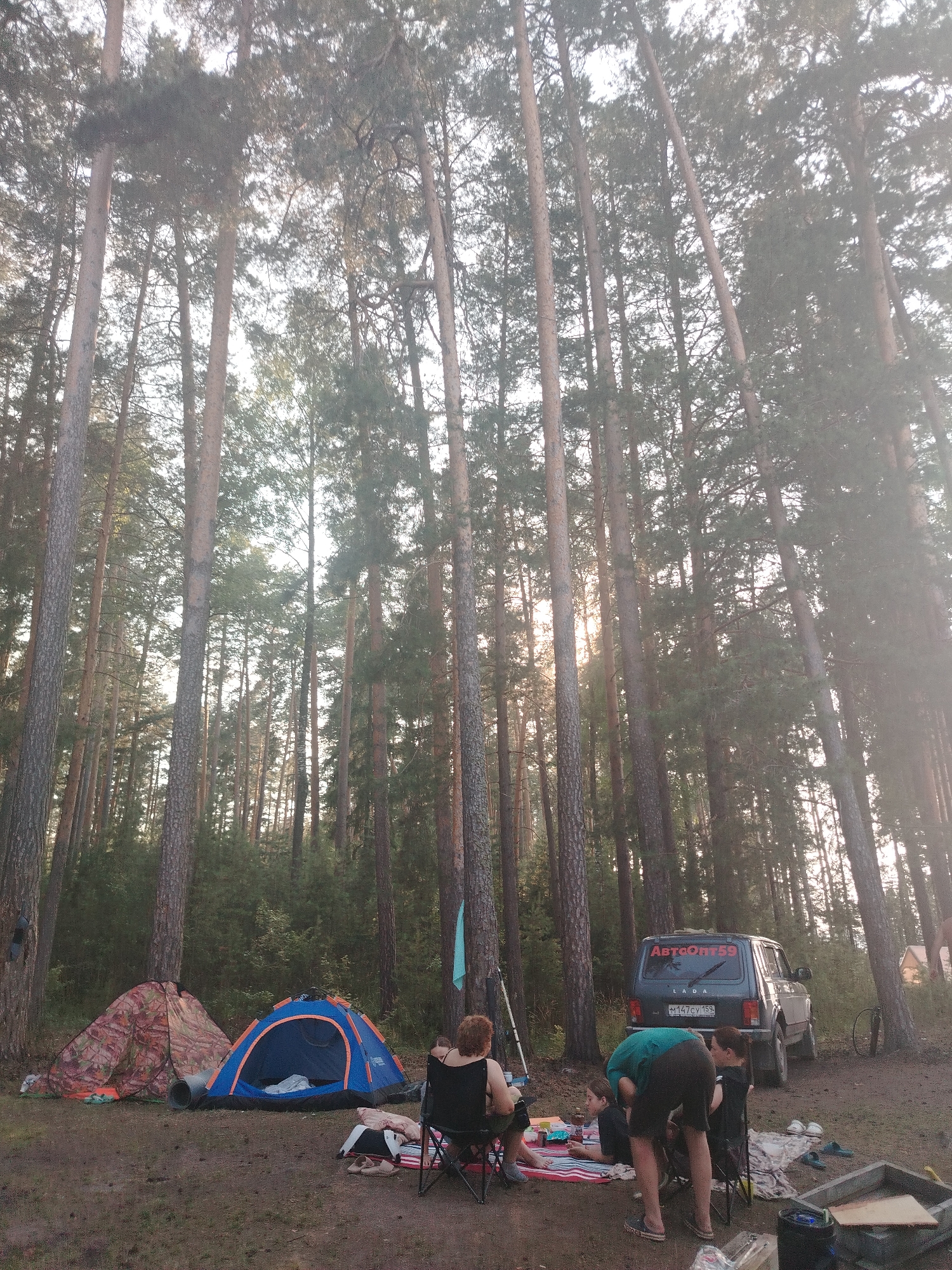 The image depicts a campsite in a pine forest, likely located near Chaikovsky, Russia, given the license plate on the vehicle. Two tents are pitched on the ground, one orange and camouflage patterned, and the other blue with orange trim. A dark-colored Lada Niva SUV with a sticker reading "АВТОСпорт59" and a Russian license plate (M147CY 159) is parked behind the tents. Several people are present: one person in a black t-shirt and dark shorts is sitting in a folding chair. Another person, wearing a green t-shirt and dark shorts, is bending over, seemingly interacting with someone on the ground. Two other individuals are also seated, one in a folding chair and another on the ground, with a picnic blanket spread out. The environment is characterized by tall pine trees with sunlight filtering through the canopy, suggesting it is daytime. The ground is covered in pine needles and dirt. The overall scene suggests a recreational camping trip.