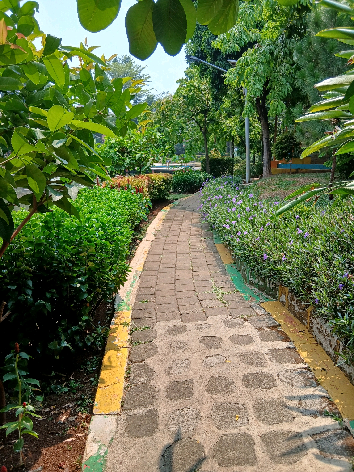 A paved pathway, constructed from interlocking rectangular bricks and interspersed with square concrete blocks, curves through a lush park. The pathway is bordered on the left by a dense, low-lying green shrubbery and on the right by a bed of flowering purple plants. The edge of the pathway is marked by a concrete curb painted with sections of yellow and green. Beyond the pathway and garden beds, trees of varying heights and densities are visible, with a bright blue sky overhead. In the distance, a lamp post stands amongst the trees, and a park bench with blue and yellow accents can be partially seen. The ground surrounding the planted areas appears to be covered in soil and scattered leaves. The scene suggests a well-maintained public park, likely in the city of Depok, Indonesia, on a clear day.