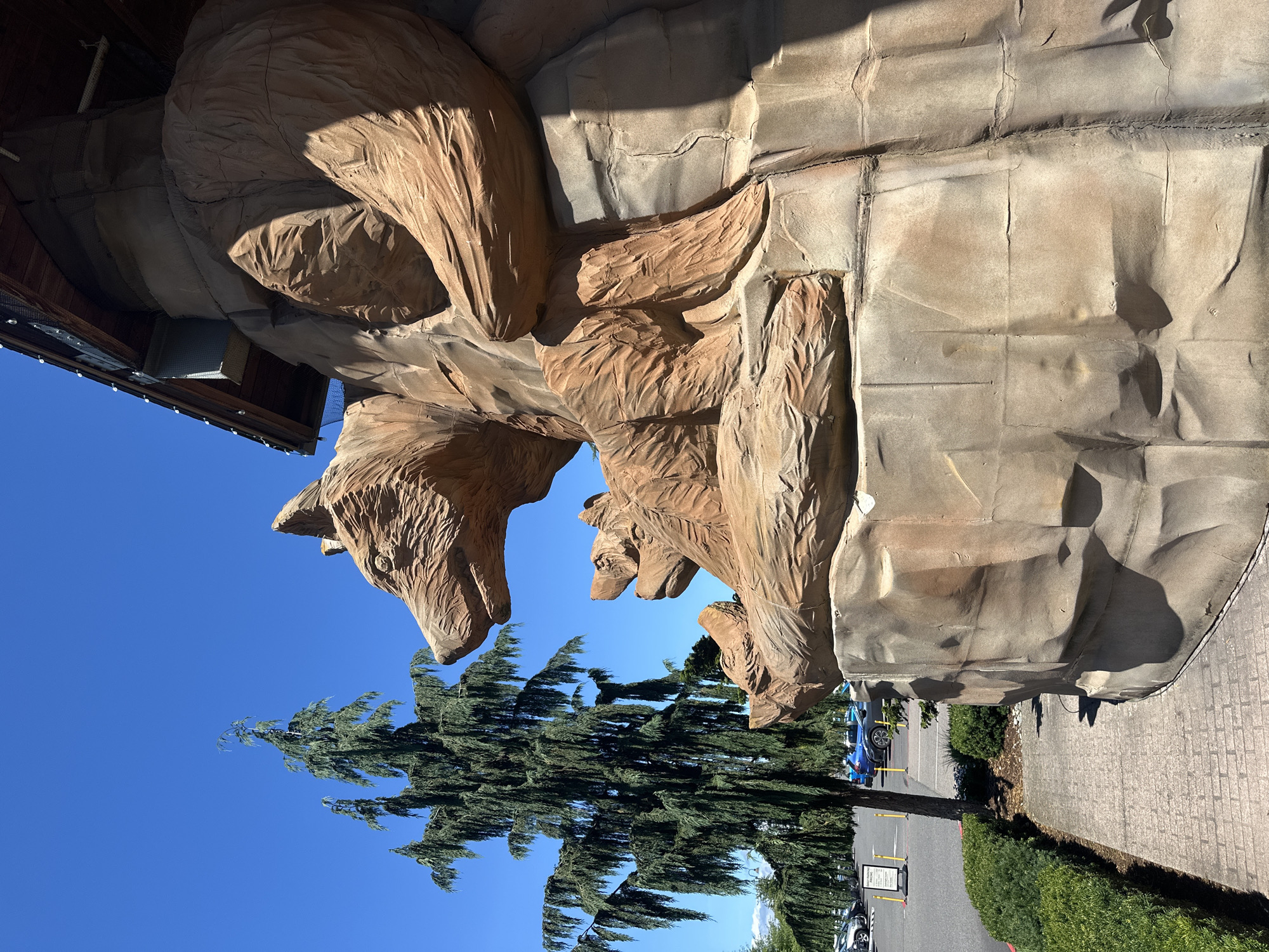 In Grand Mound, Washington, a large, sculpted rock formation featuring three bears is the focal point. The sculpture, made of a material resembling natural stone, depicts an adult bear in the foreground, with two cubs nestled below it. The adult bear's head is turned to the left, its facial features detailed with carved lines. The cubs are positioned to its right, with one cub looking forward and the other slightly to the side. The rock formation itself has a rough, uneven texture, with distinct lines and crevices suggesting natural erosion.
To the left of the sculpture, a tall, wispy coniferous tree stands prominently against a clear, bright blue sky. Its branches cascade downwards, creating a dense, feathery appearance. Beyond the tree, a parking lot is visible, with several cars parked and a white sign with yellow posts. A paved walkway with a brick pattern leads from the foreground towards the sculpture, bordered by neatly trimmed green hedges. The overall environment appears to be an outdoor public space, possibly an entrance to a commercial establishment given the building structure visible above and to the right of the sculpture.