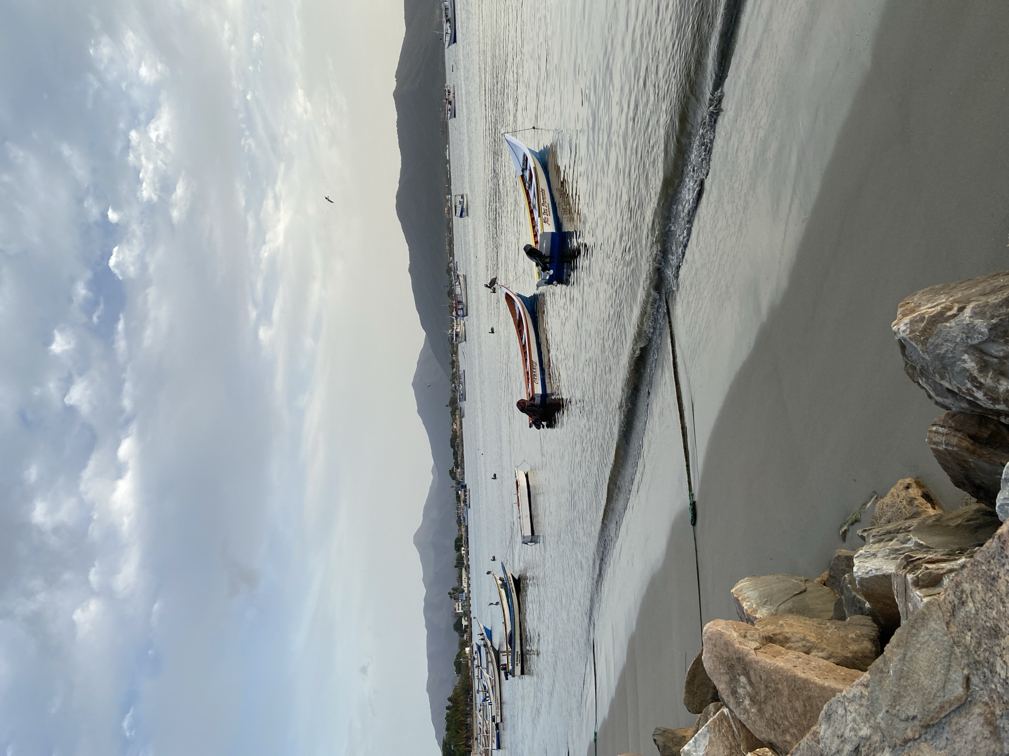 The image shows a waterfront scene in Juan Griego, Venezuela. In the foreground, a rocky shore transitions to a sandy beach with gentle waves lapping at the shore. Several boats are moored in the calm water. In the middle ground, a collection of small fishing boats, some with motors, are anchored. The background features a distant coastline with hills and mountains under a cloudy sky. A single bird is visible in flight. The overall impression is a tranquil coastal environment.
